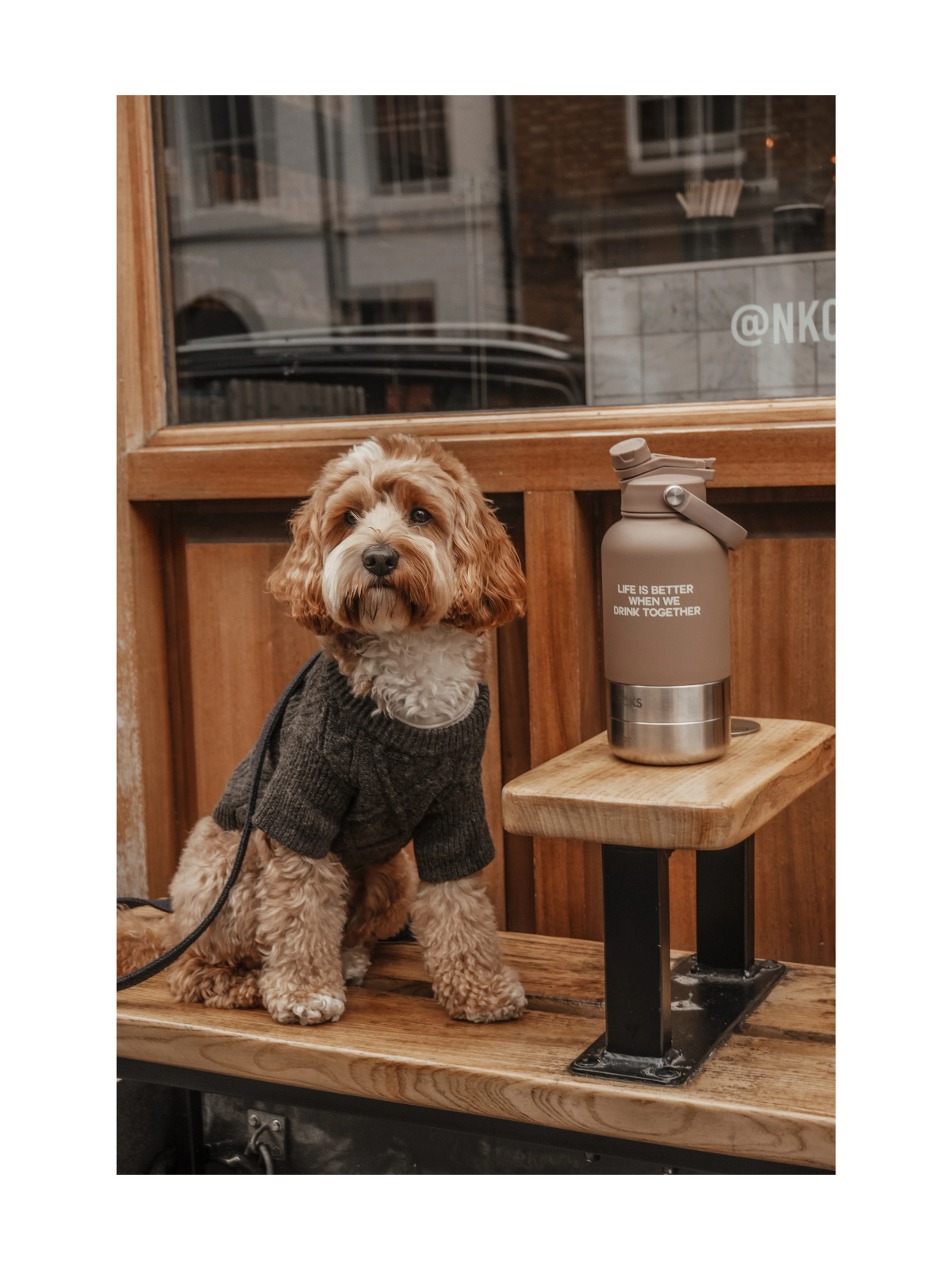 The 3-in-1 Bowl Bottle – Chocolate