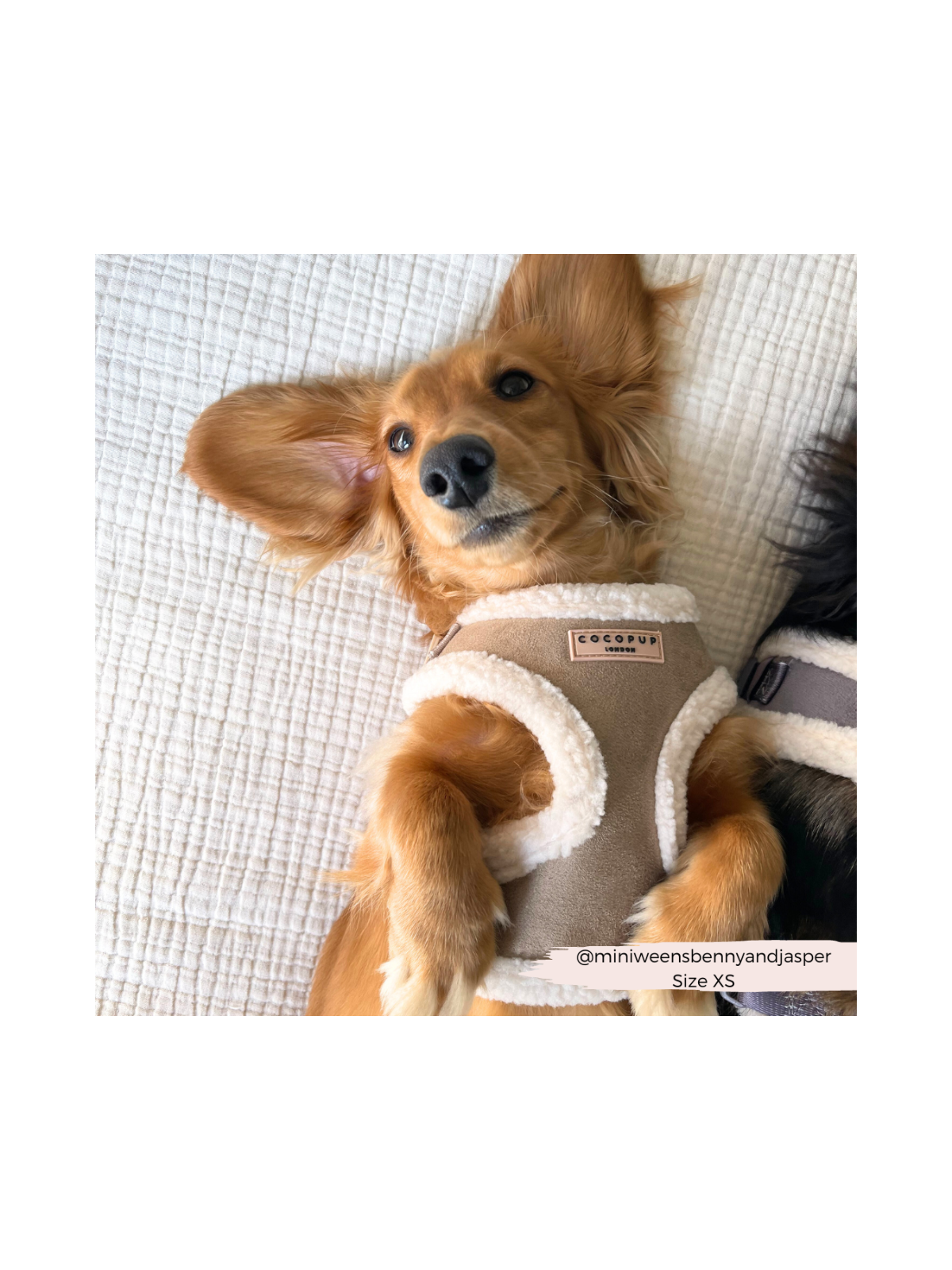 Nude Aviator Adjustable Neck Harness – Faux Suede with Fluffy Trim