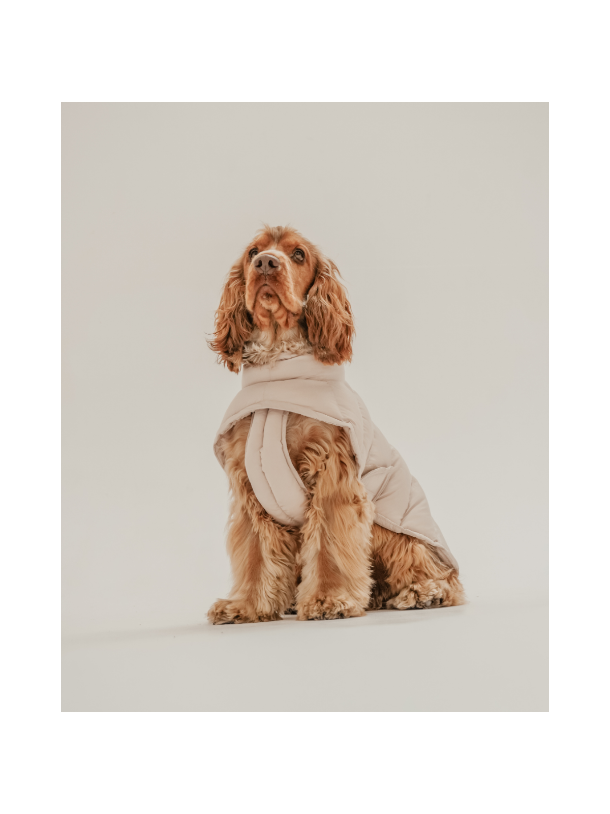 The Capsule Puffer Dog Coat – Hazelnut