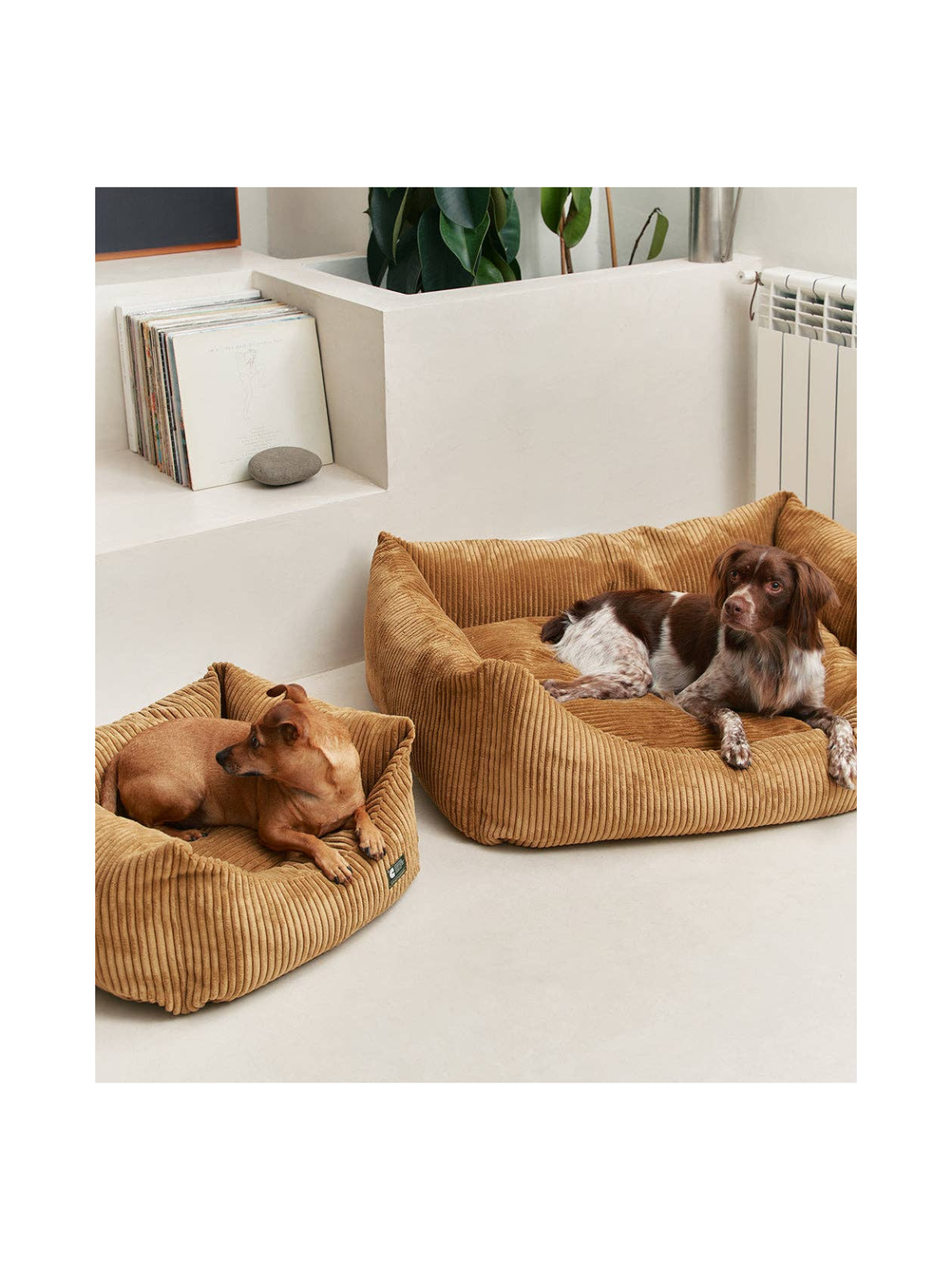 Snozy Dog Bed Cushion – Mustard Corduroy