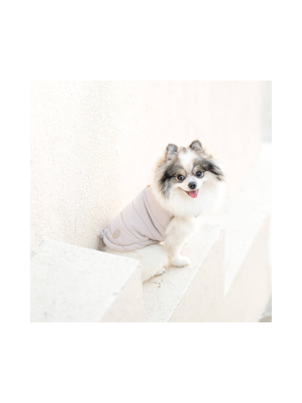 Explorer Puffer Vest – Dunes