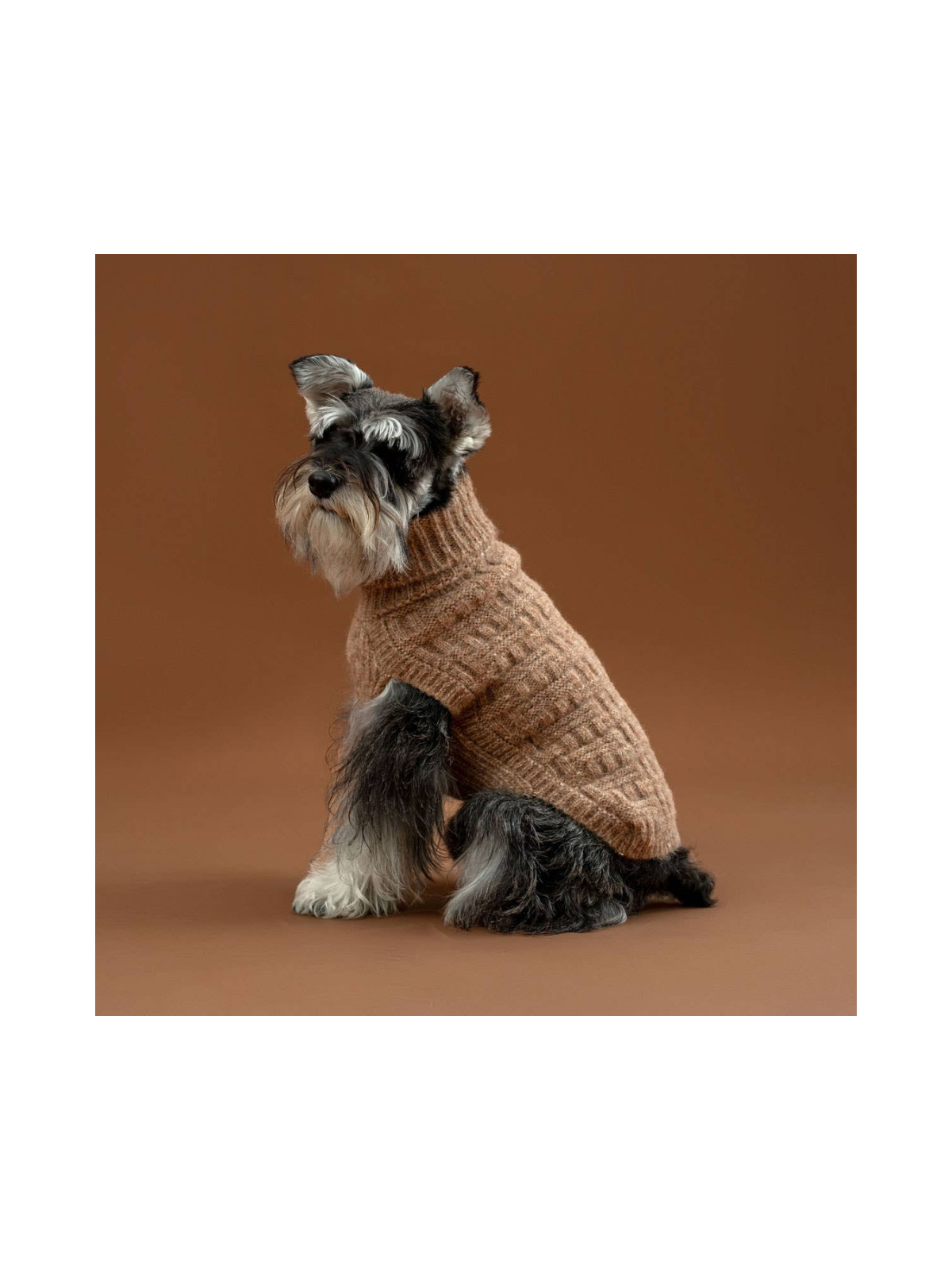 Basket Knit Dog Sweater – Golden Heather