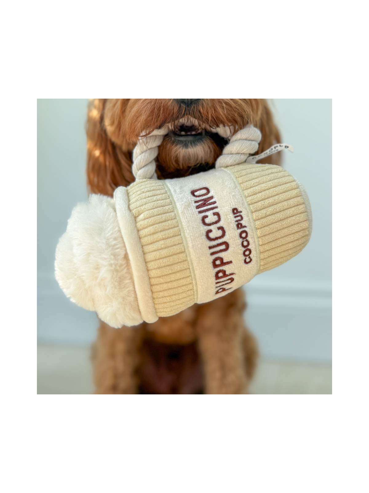 Puppuccino Dog Toy