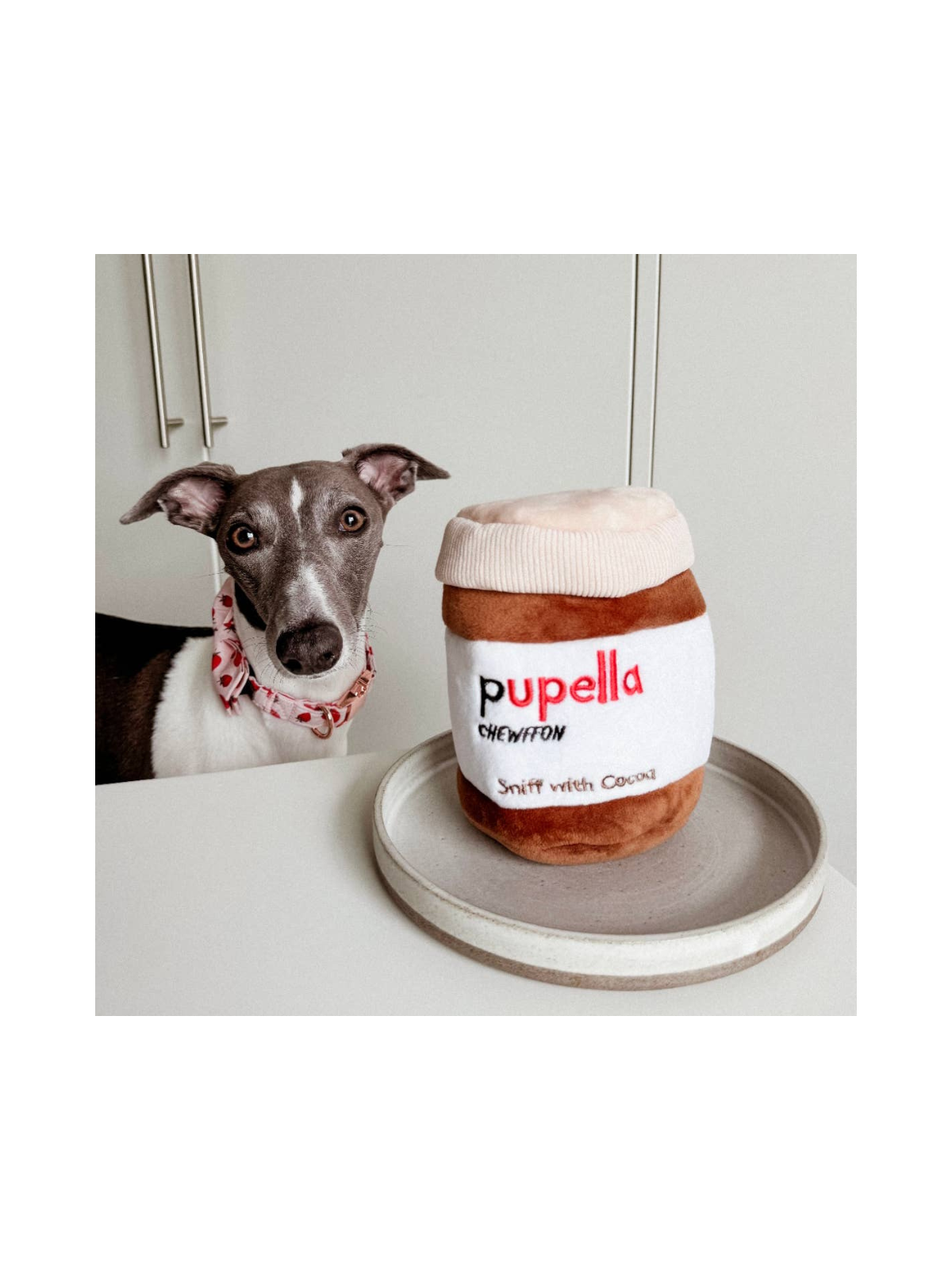 Pupella Jar Interactive Dog Puzzle