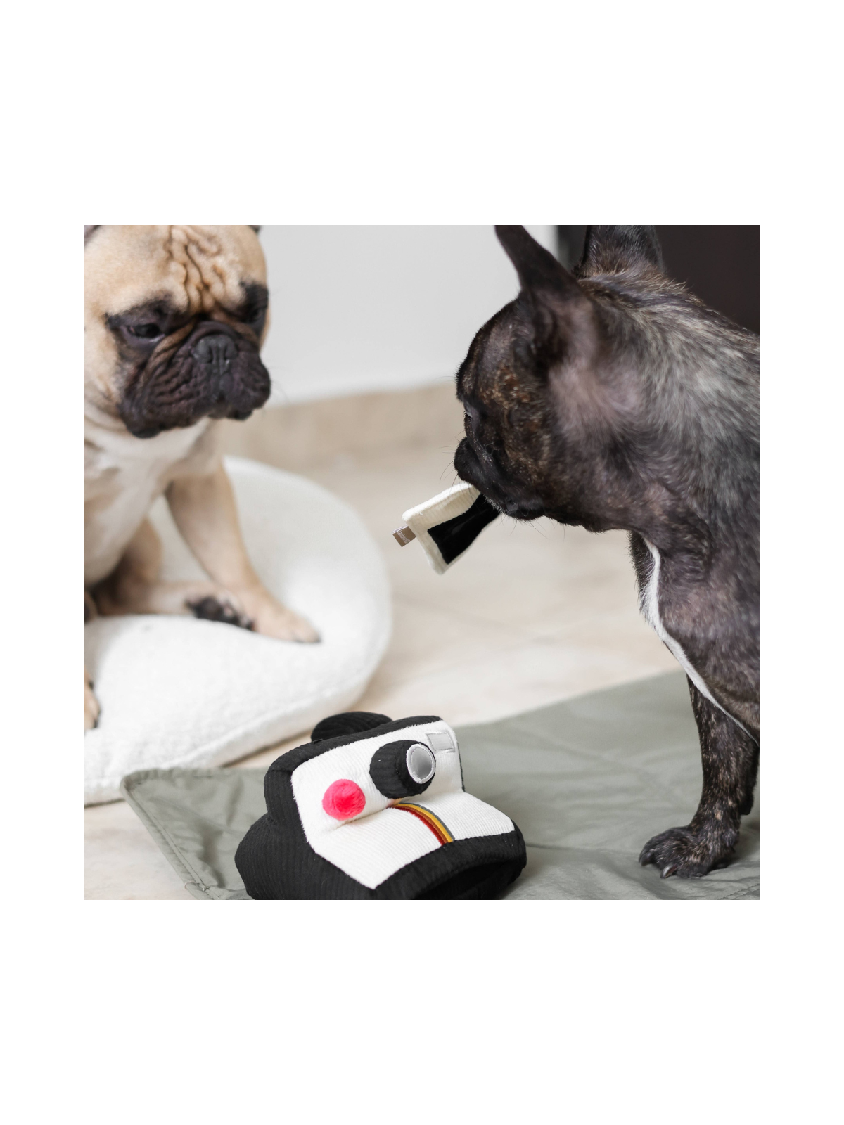 Instant Camera Snuffle Toy
