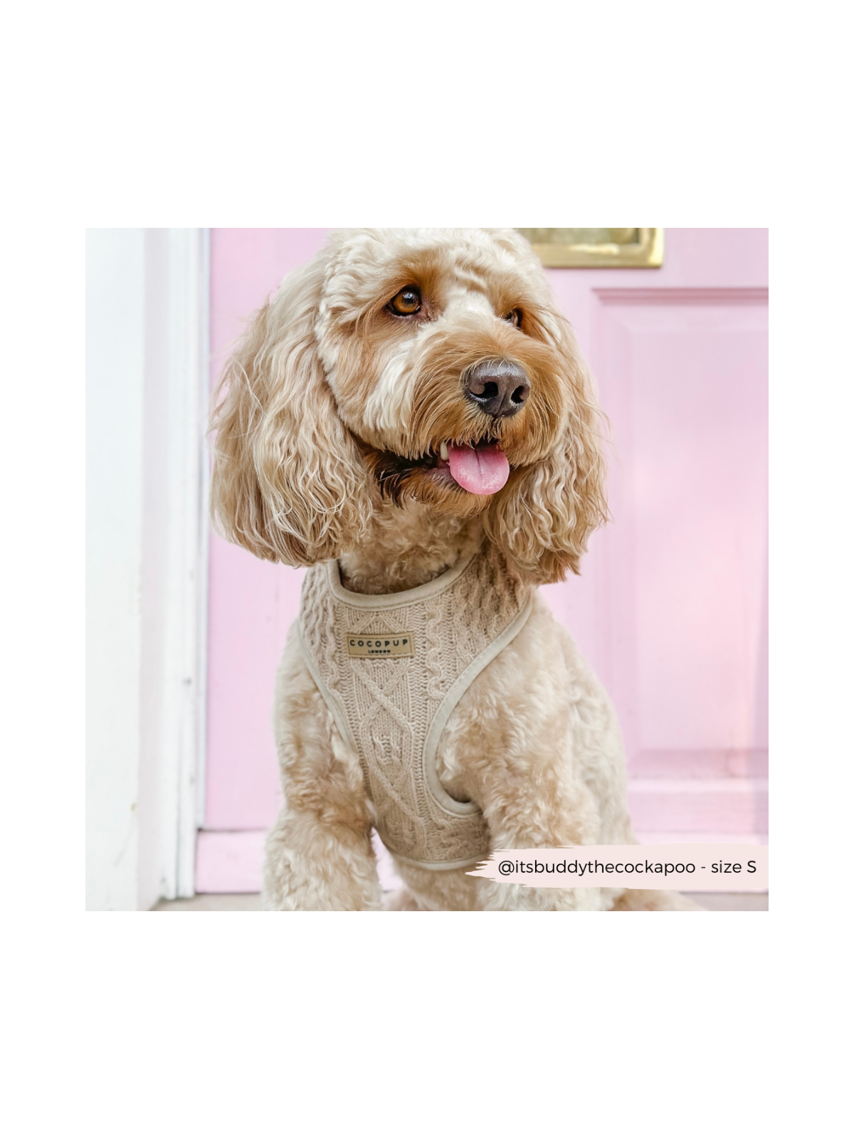 Cable Knit Jumper Adjustable Neck Harness - Toffee Beige