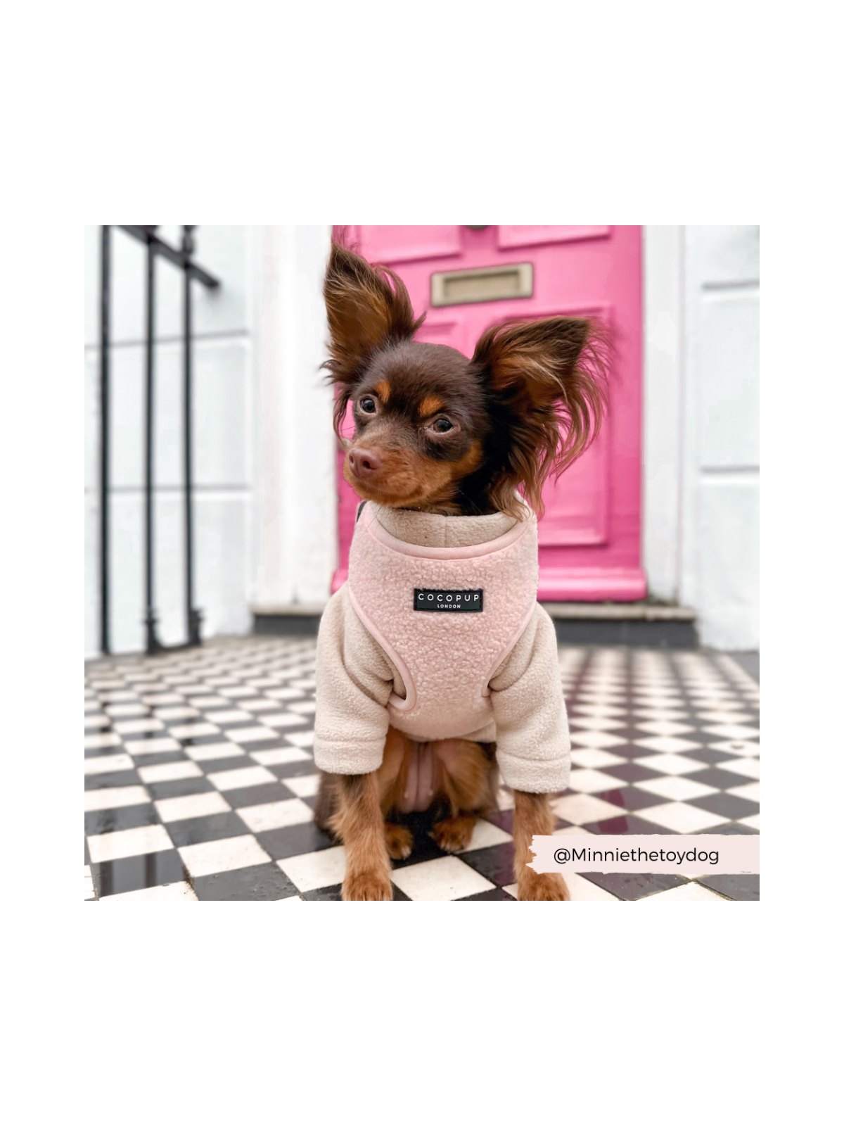 Teddy Adjustable Neck Harness – Love-A-Lot Pink