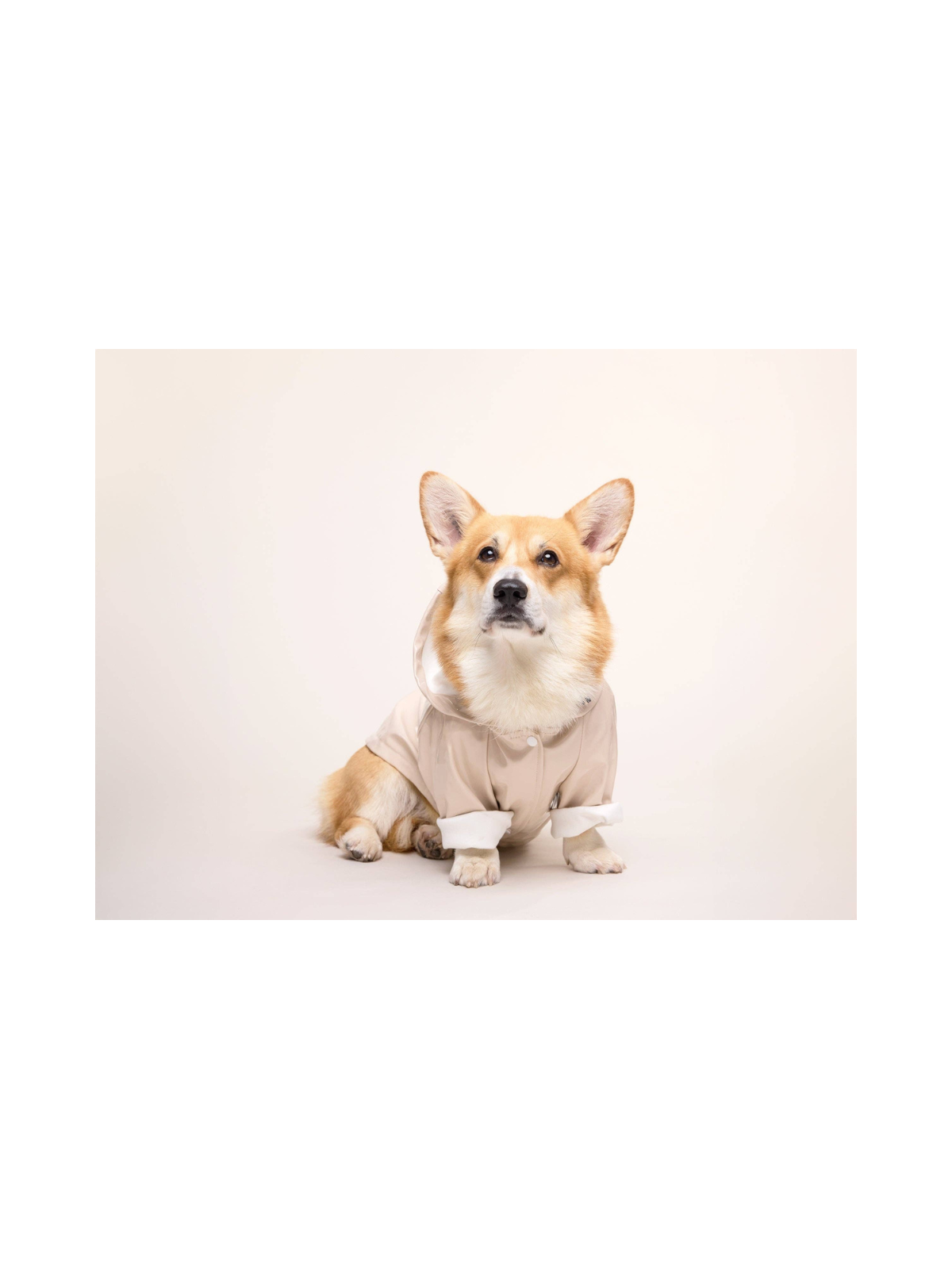 Cream Dog Raincoat