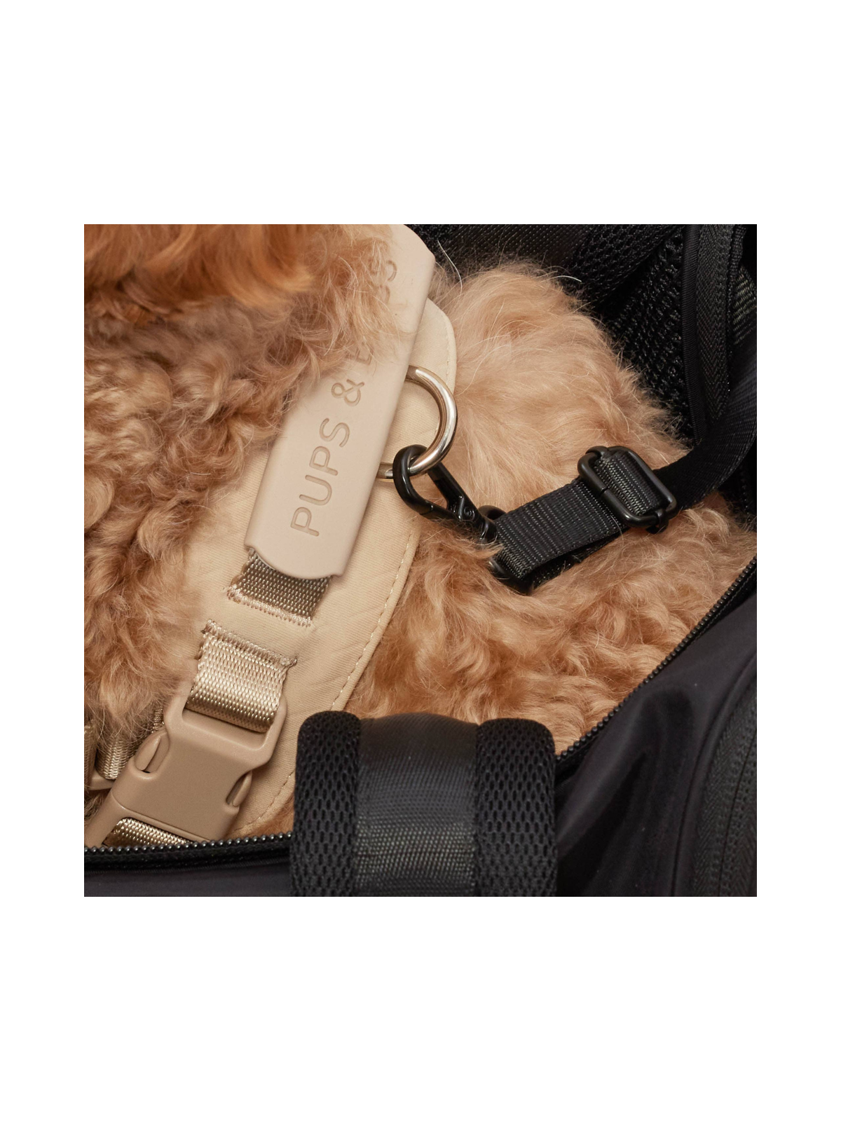 Onboard Travel Pet Carrier