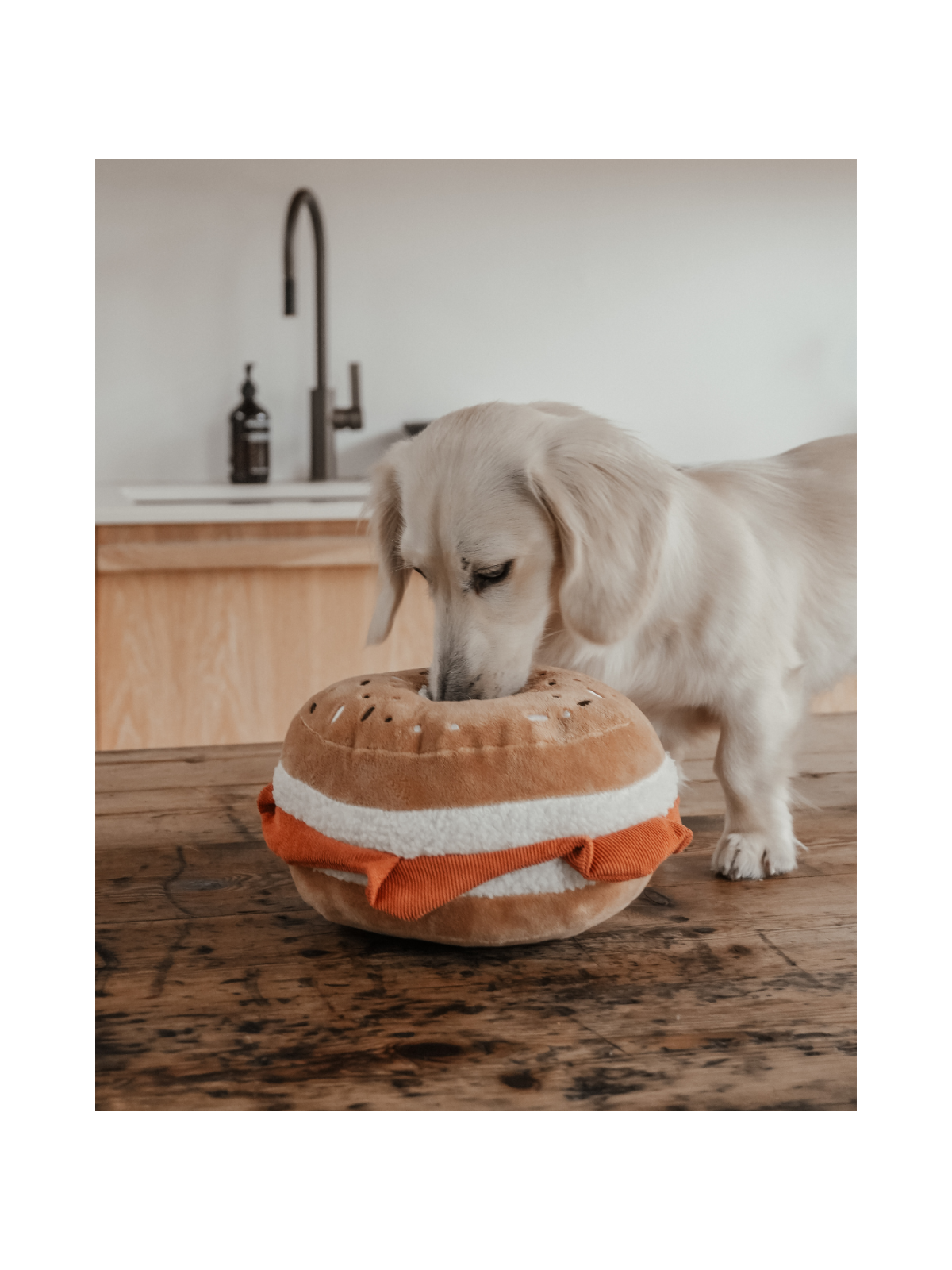 Salmon & Cream Cheese Bagel Interactive Dog Toy