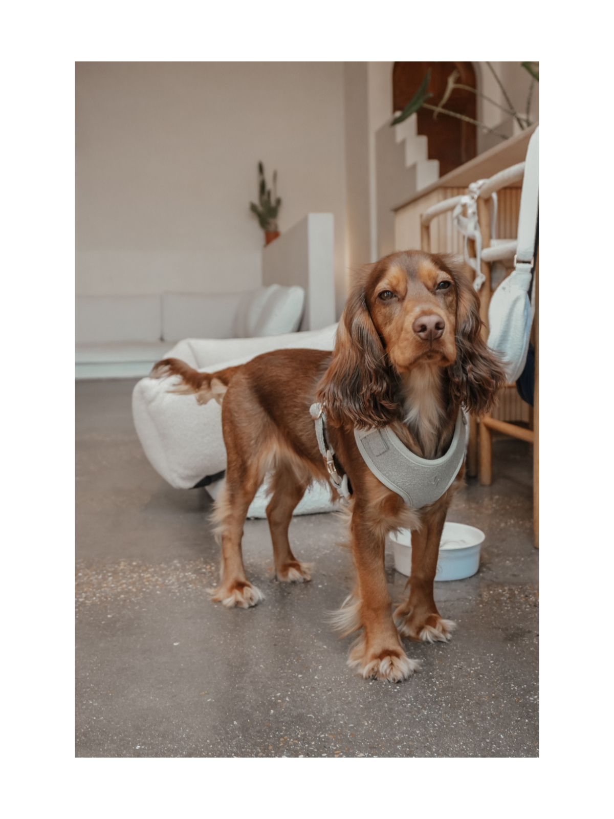 Bouclé Adjustable Harness – Matcha