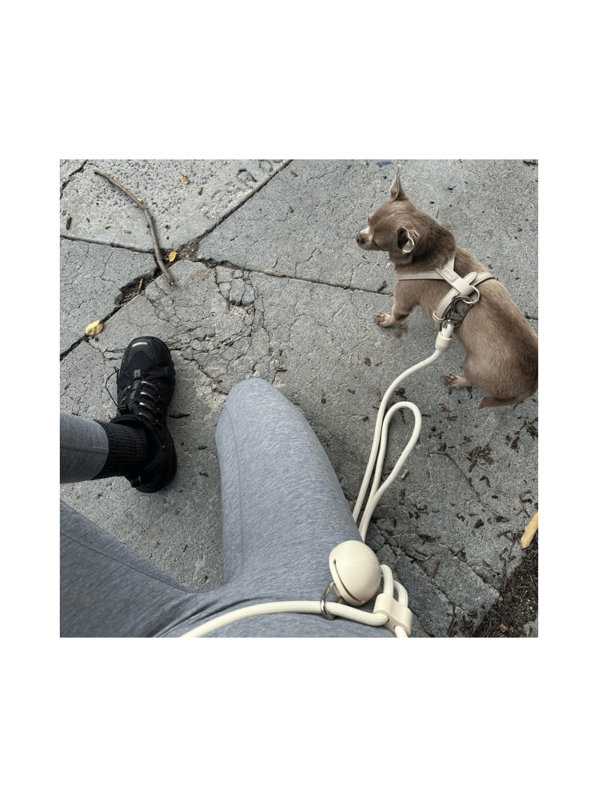 Treat Pouch – Cream