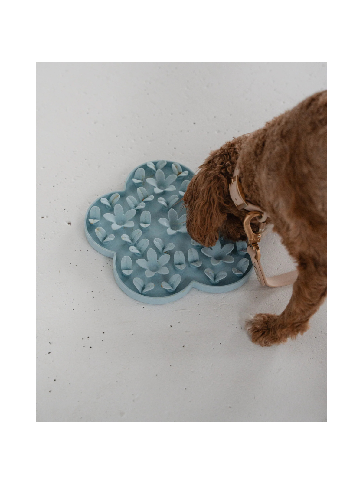 Flower Enrichment Snuffle Mat – Blue