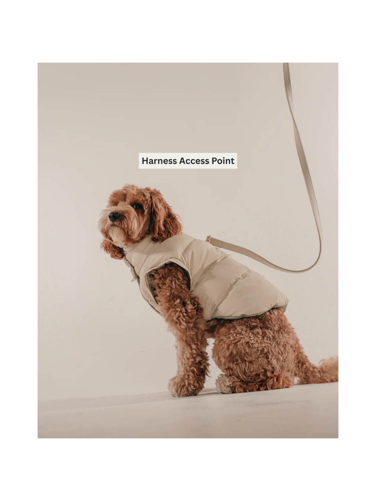 The Modular Puffer - Marshmallow