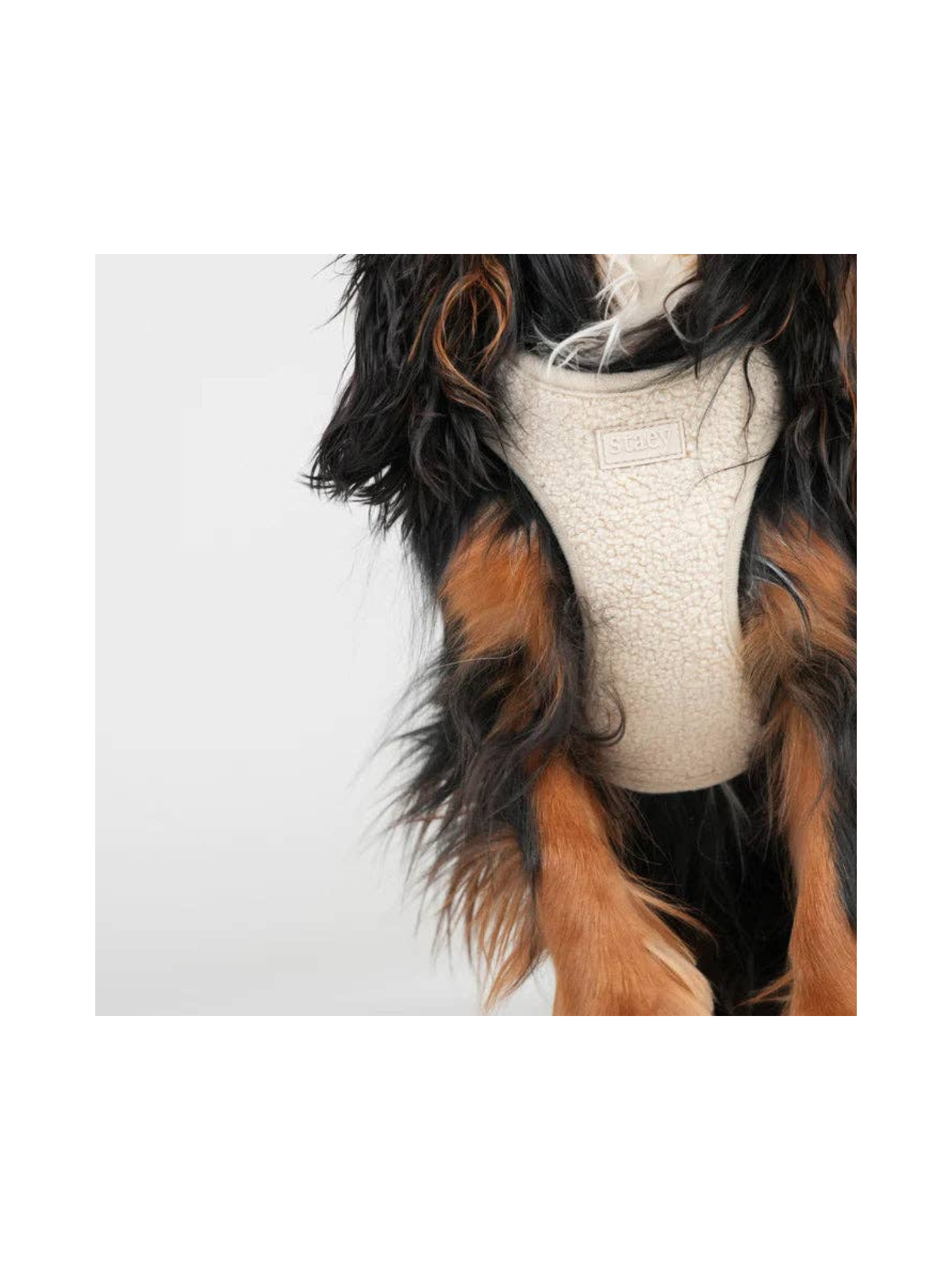 Teddy Step-In Harness – Nature