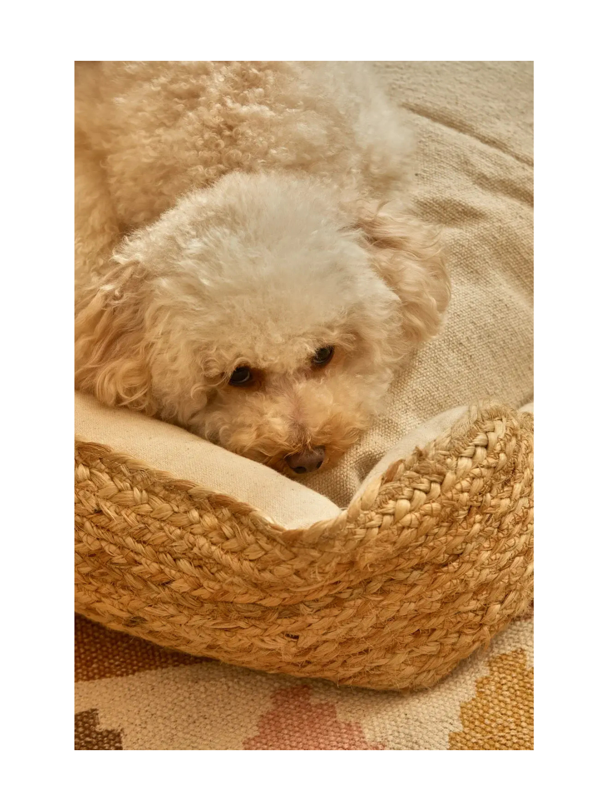 Ural Pet Bed