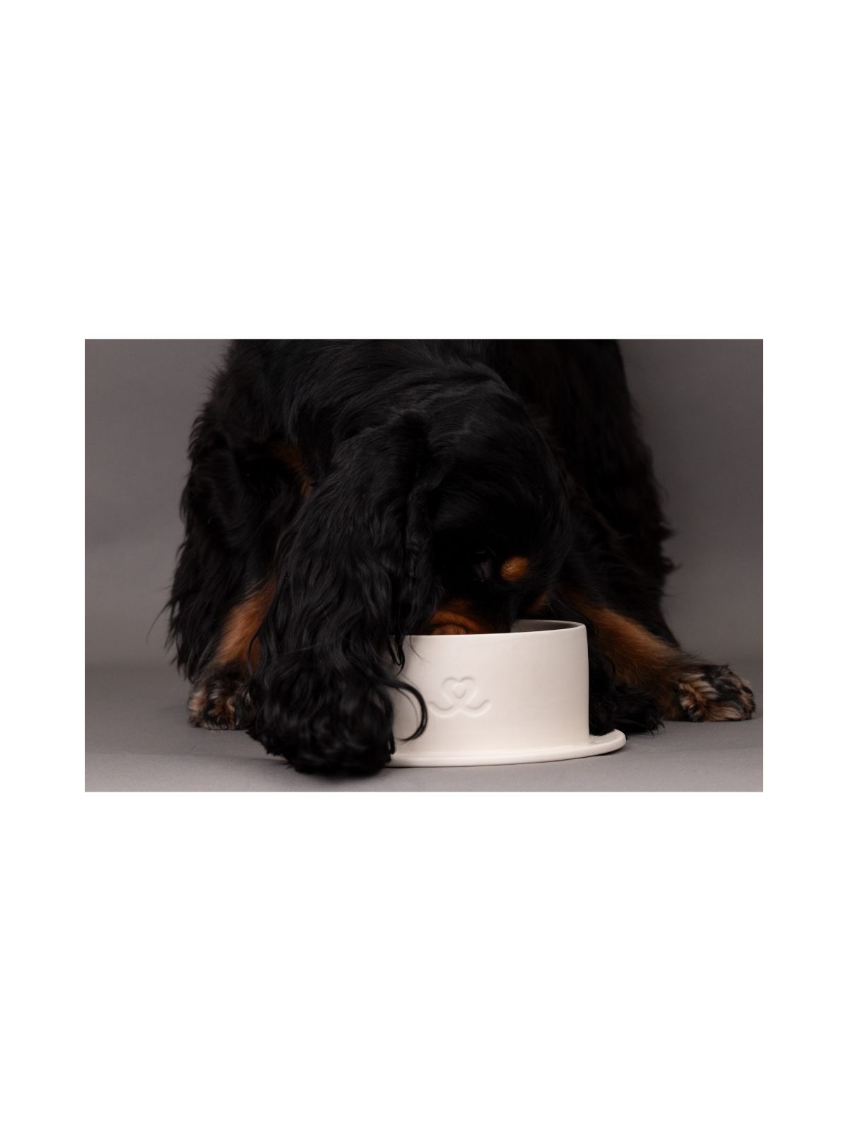 Ceramic Bowl – Eggwhite