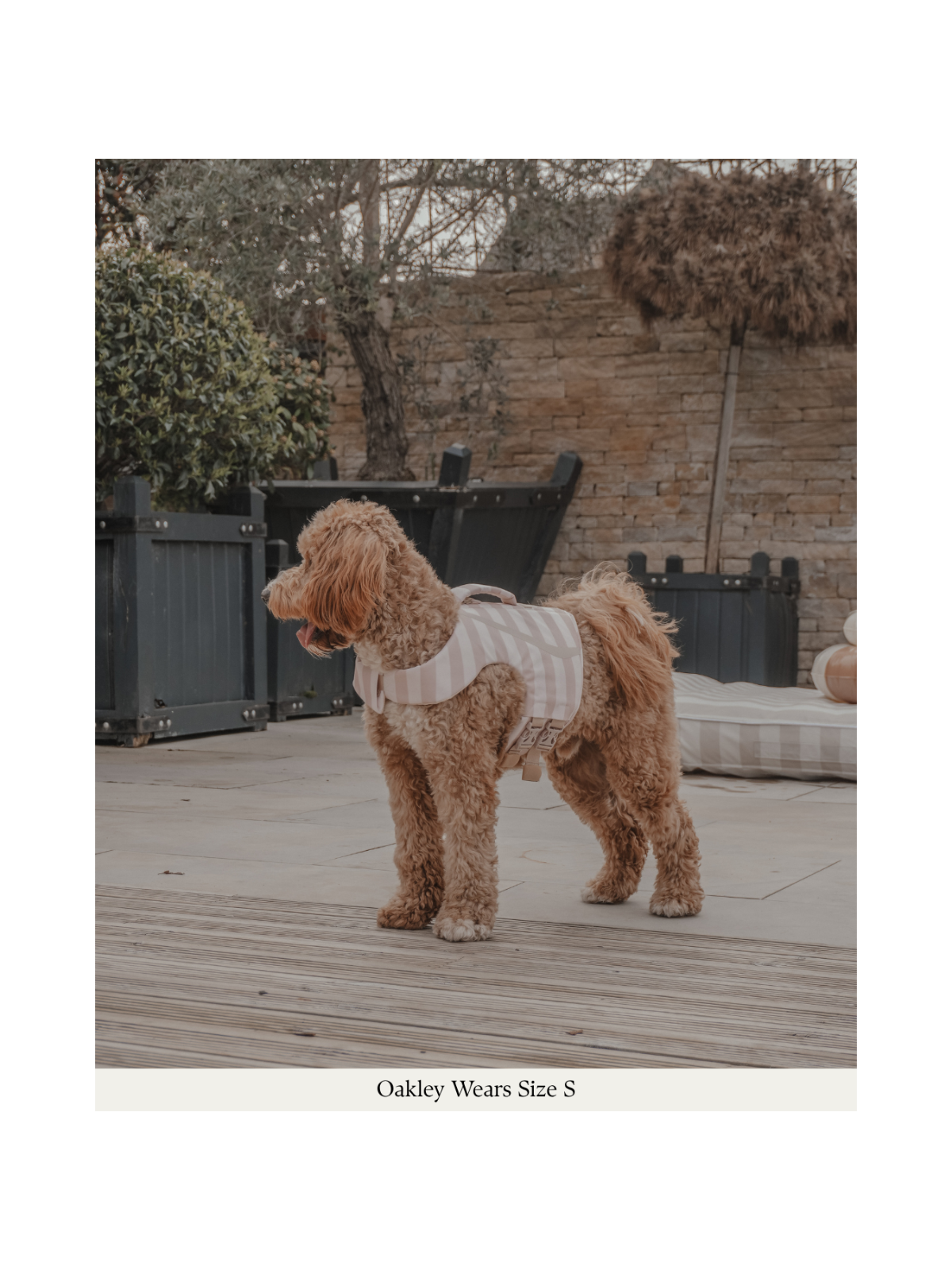The Tide Rider Life Jacket