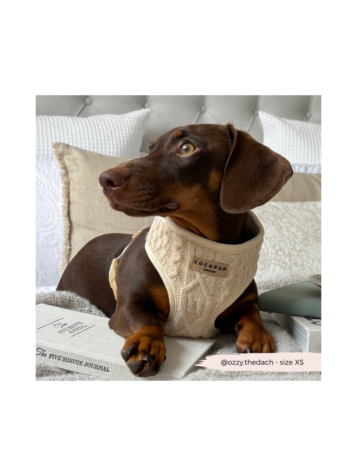Cable Knit Jumper Adjustable Neck Harness - Vanilla White