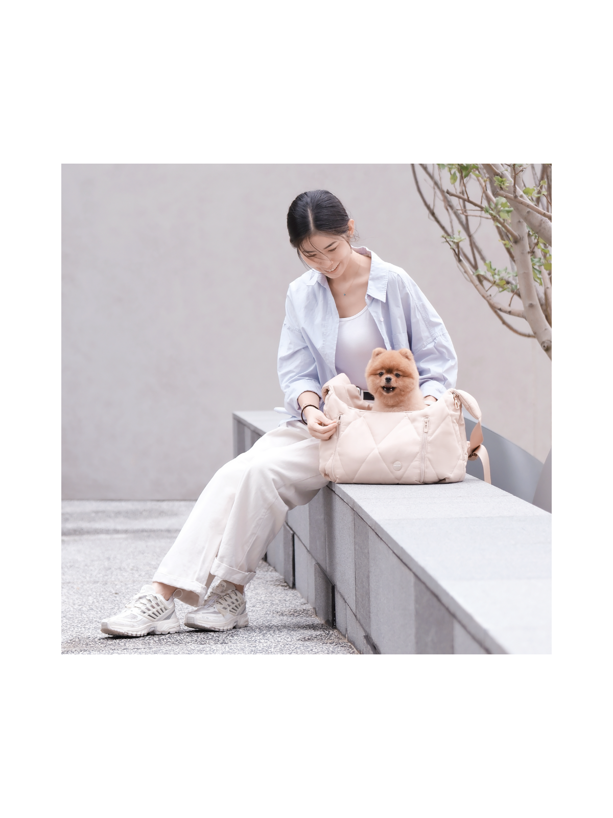 Cloud Crossbody Pet Carrier - Latte