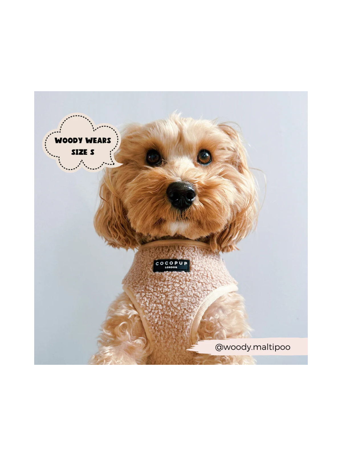 Teddy Adjustable Neck Harness – Rupert Beige