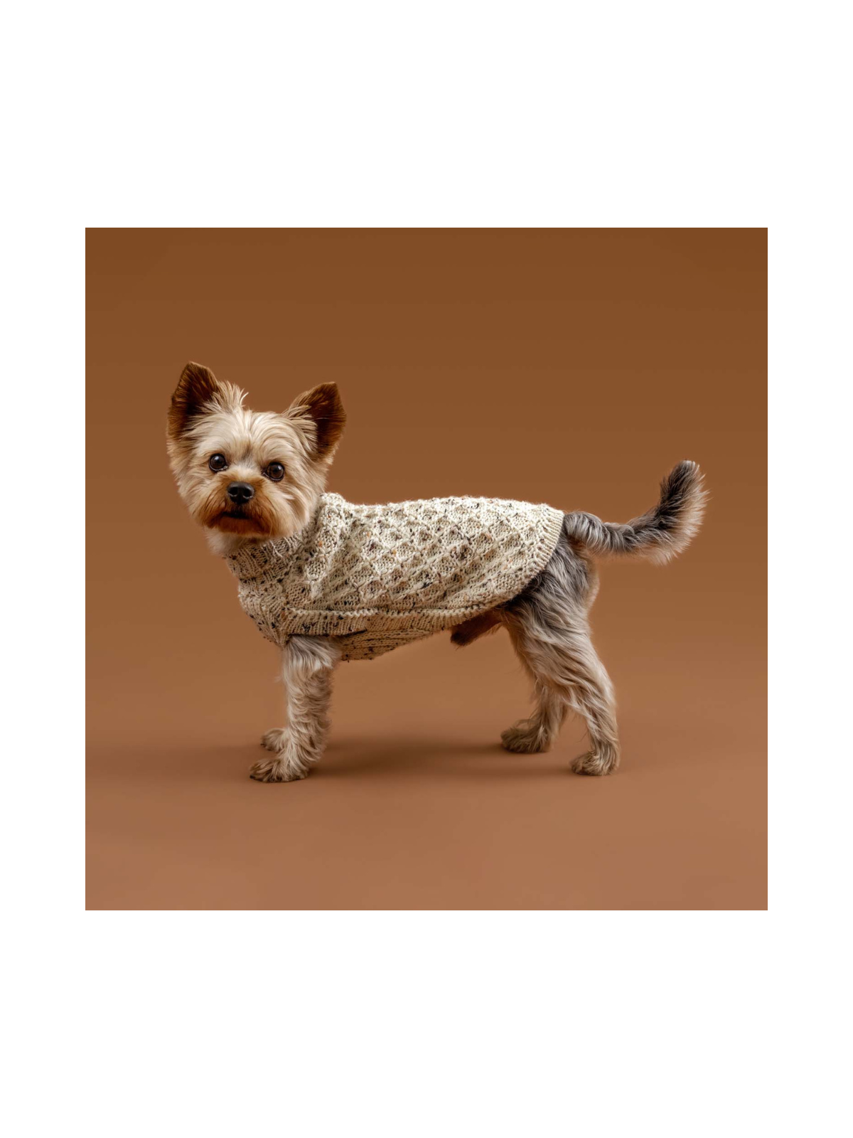 Speckled Ivory Alpaca Dog Sweater
