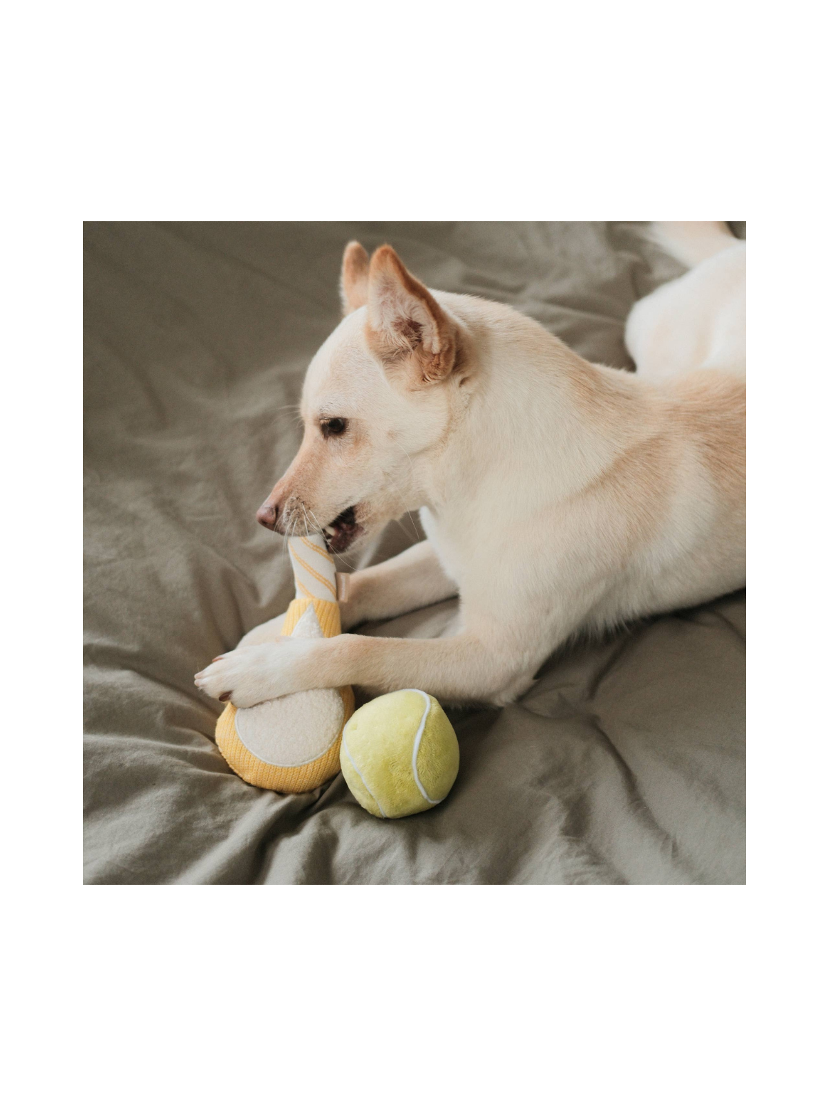 Tennis POP Enrichment Dog Toy