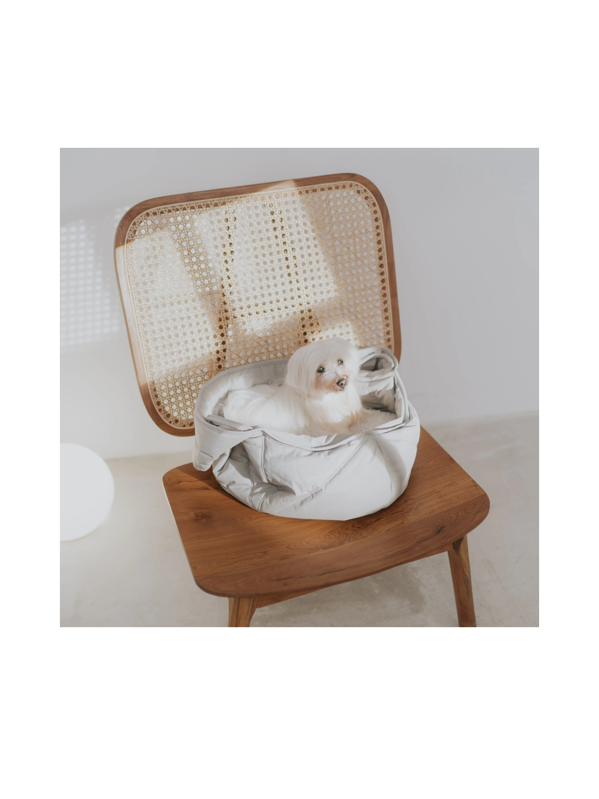 OLLA Petite Pet Carrycot – Koala