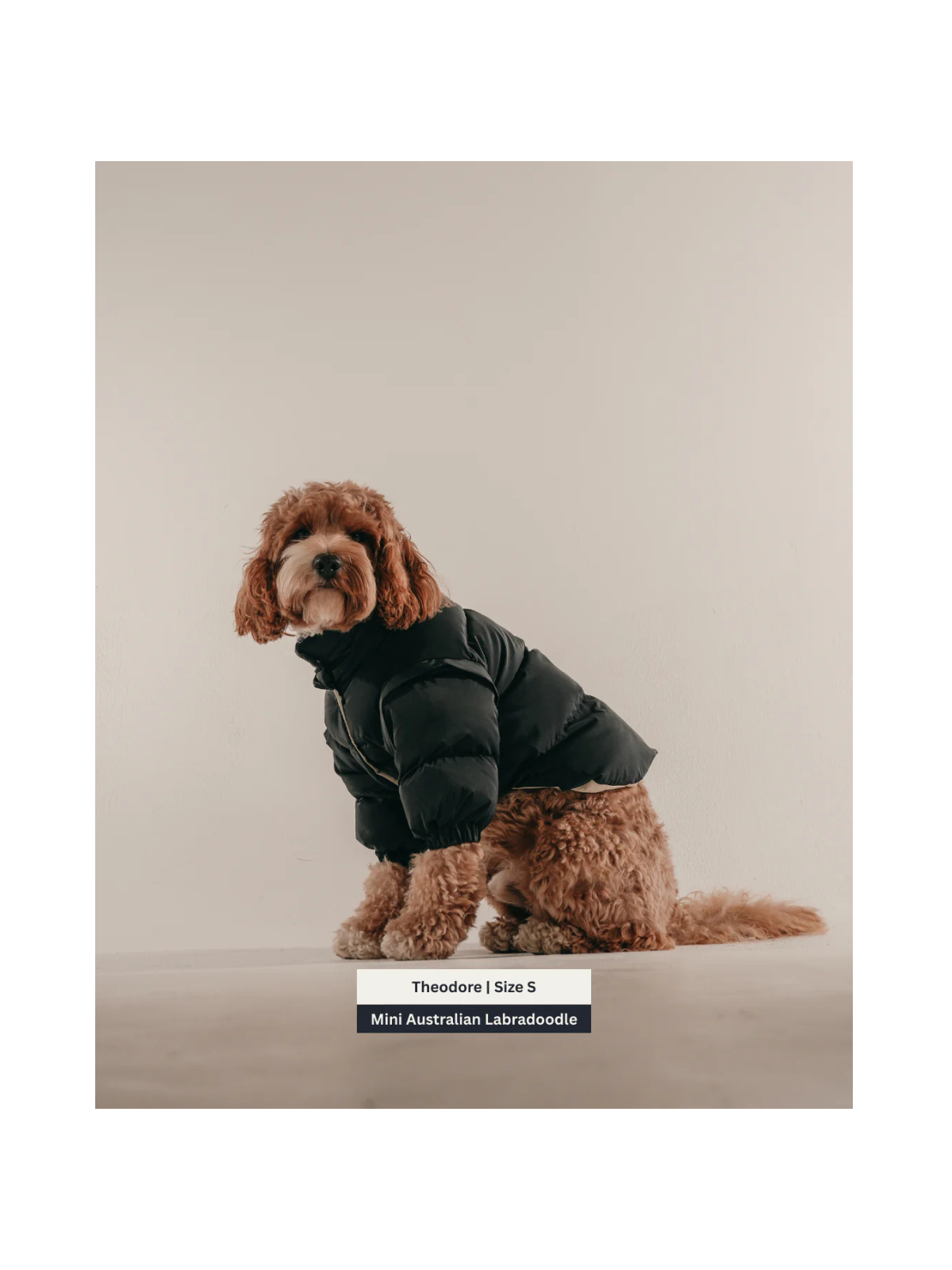 The Modular Puffer – Midnight