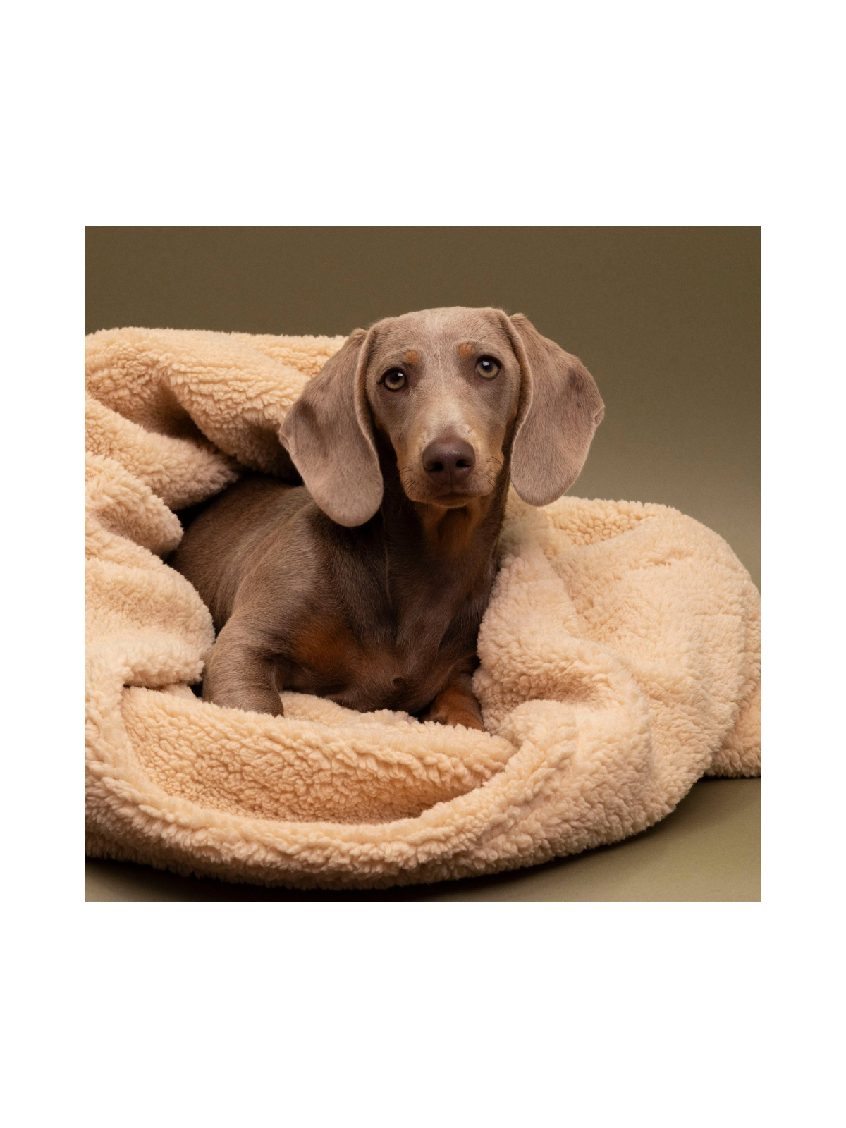 Teddy Cuddle Sleeping Bag – Beige