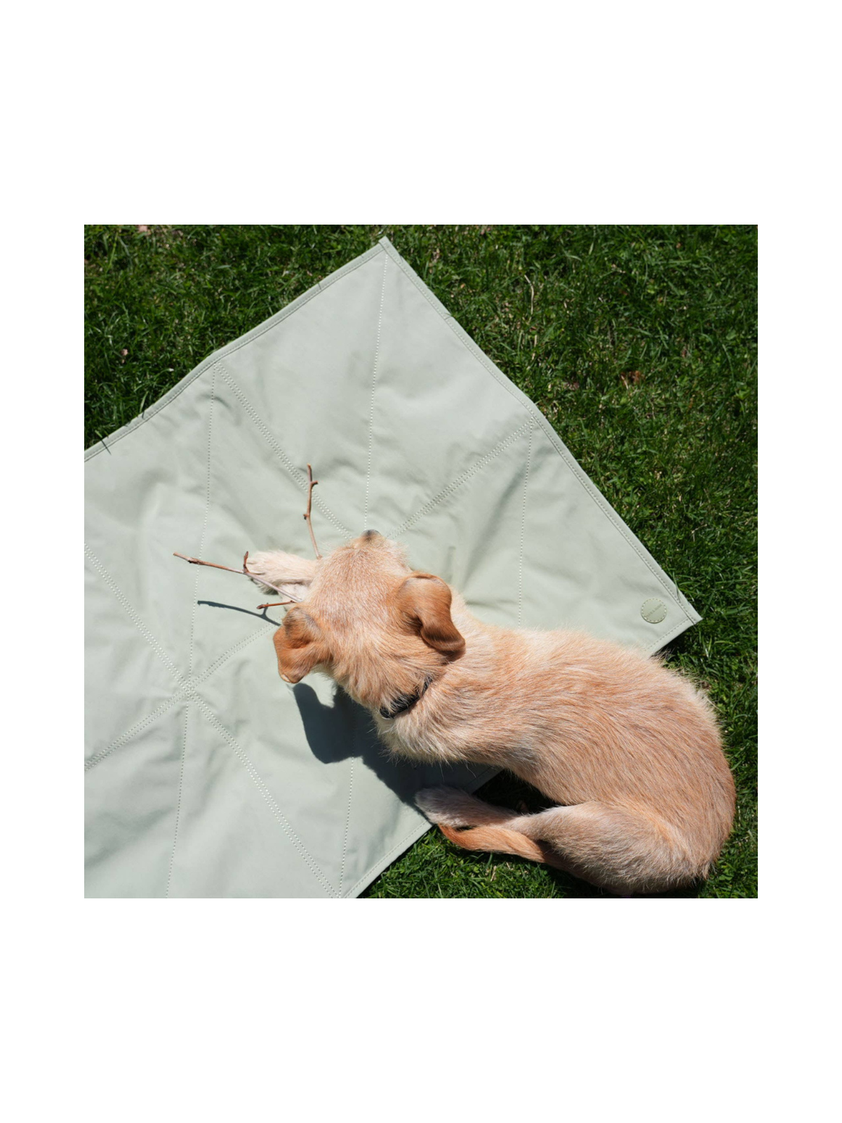 Jouir Pet Travel Mat – Sage
