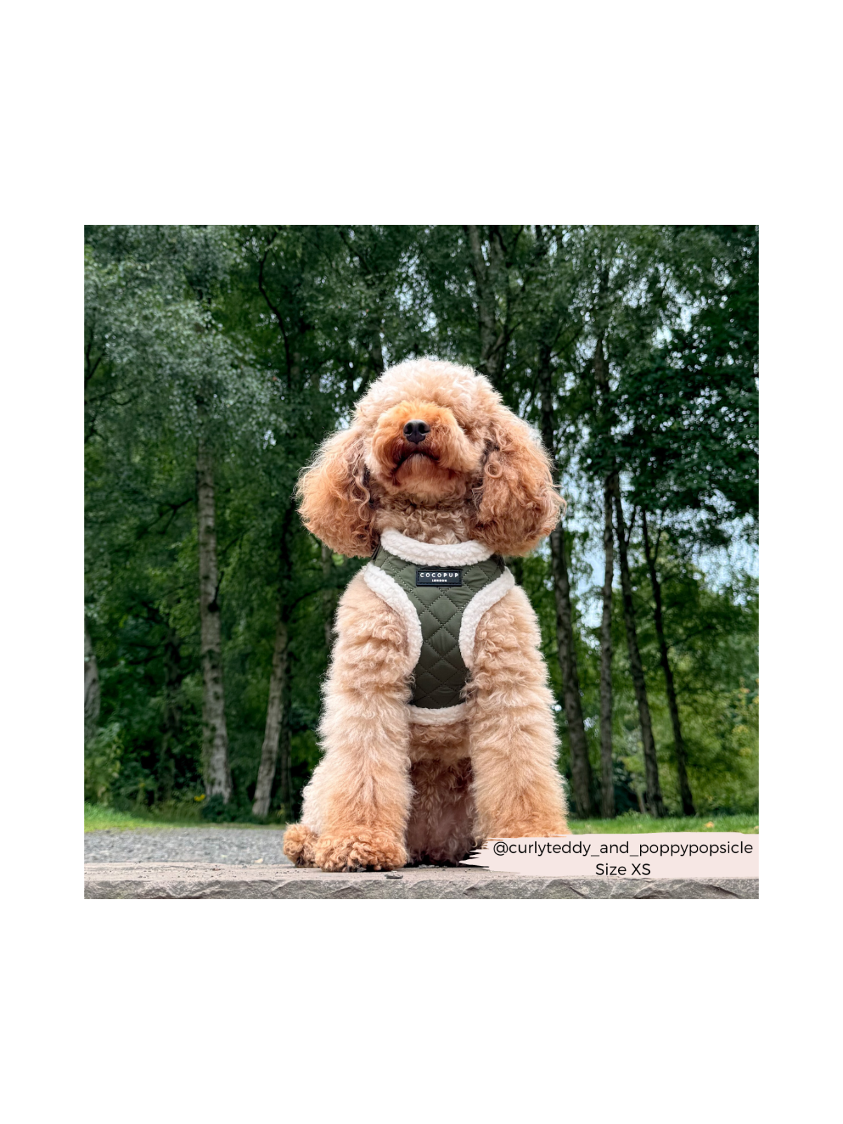 Quilted Adjustable Neck Harness – Khaki