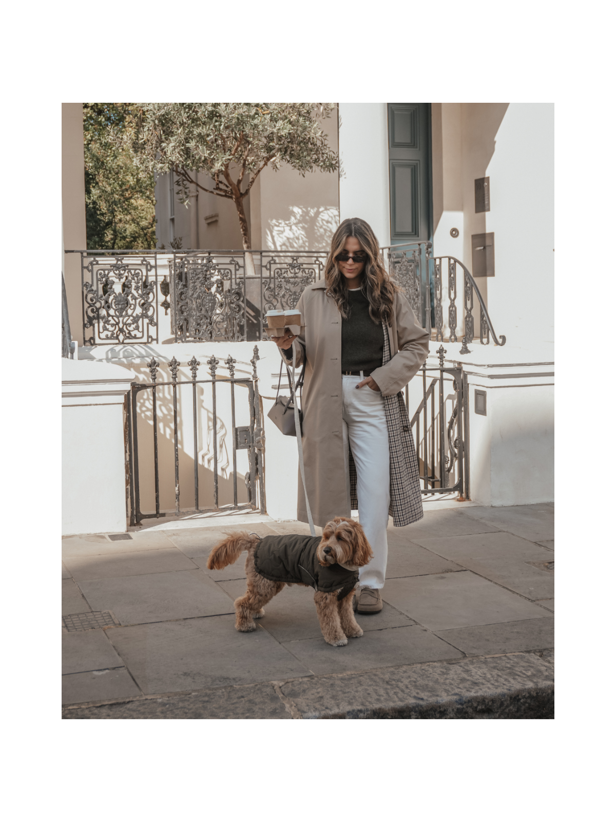 The Capsule Quilted Dog Coat – Forest Green