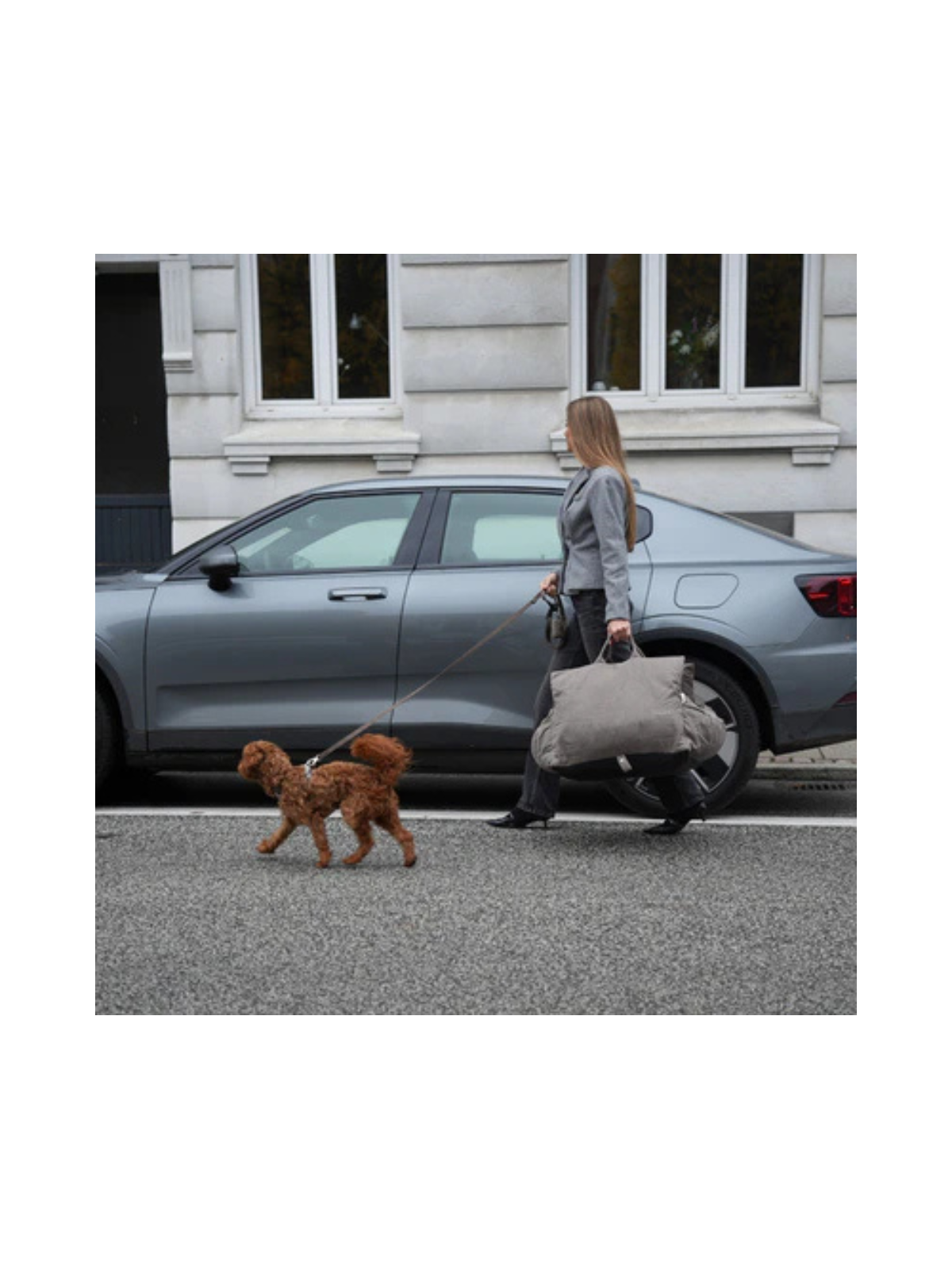 3-in-1 Dog Car Seat & Carrier – Taupe
