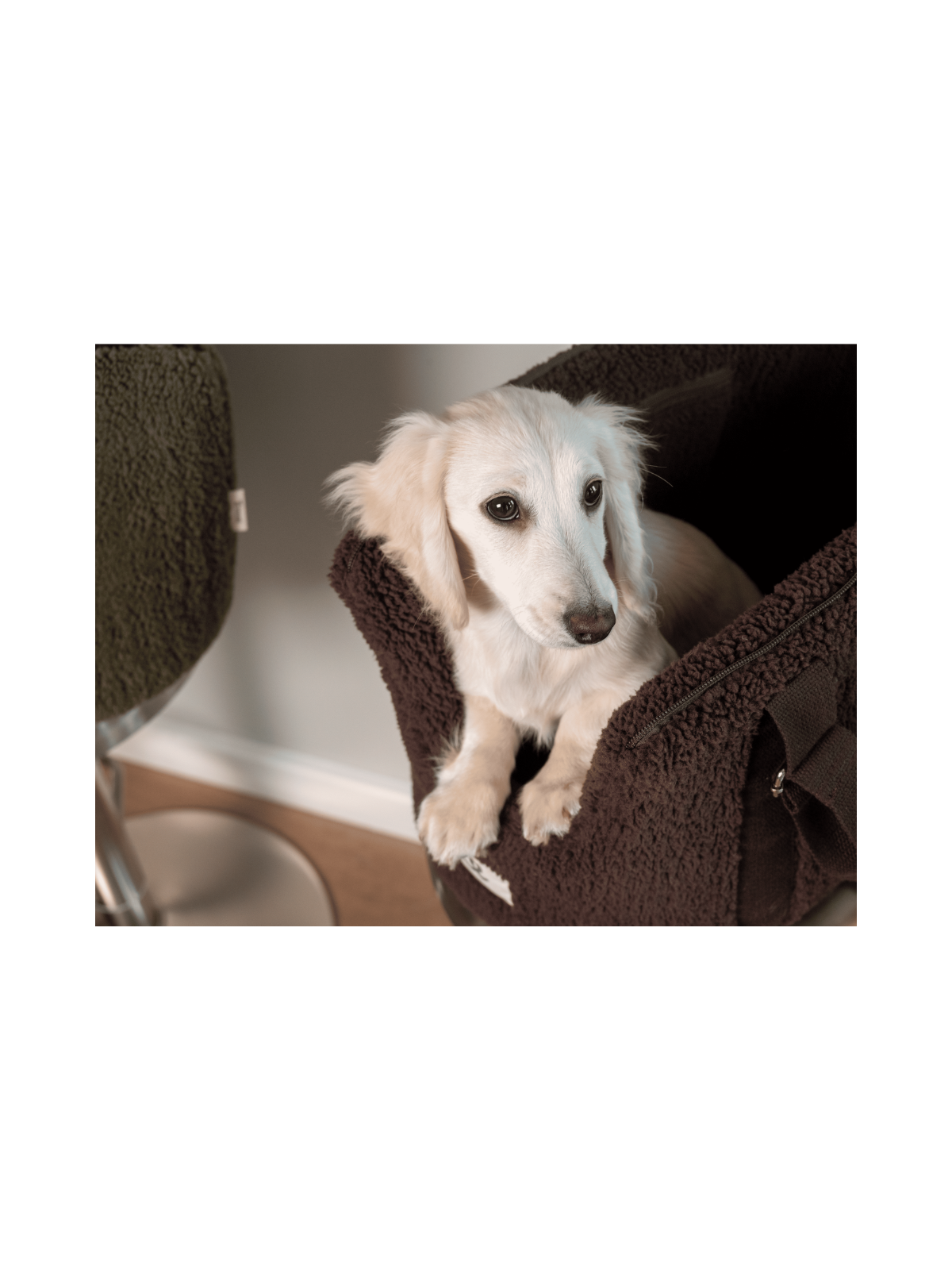 Teddy Tote Bag – Chocolate