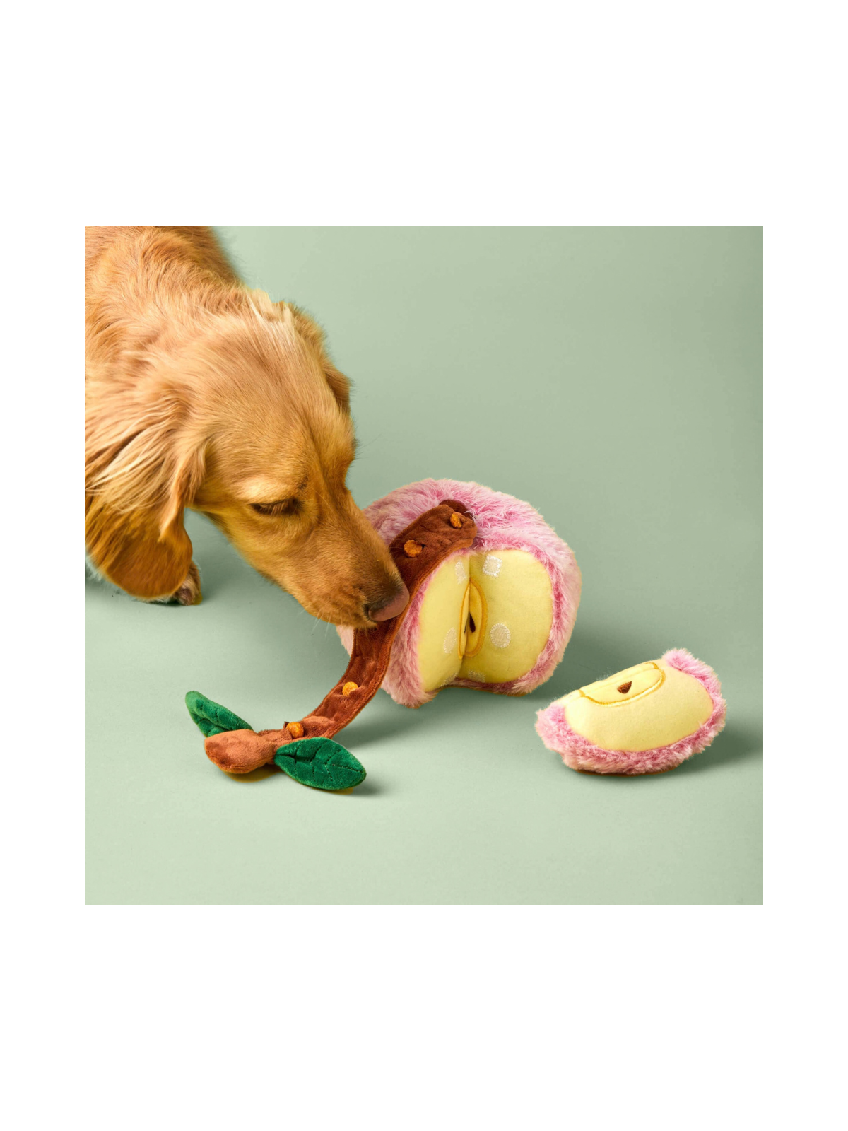 Apple Interactive Snuffle Dog Toy