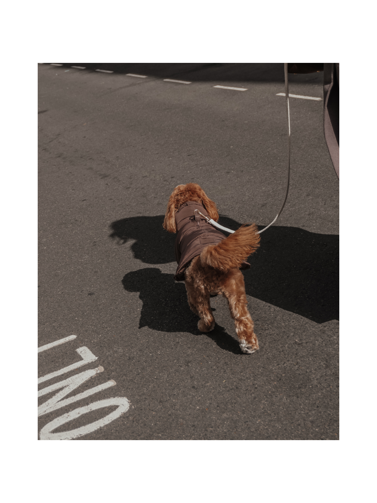 The Capsule Puffer Dog Coat – Chocolate