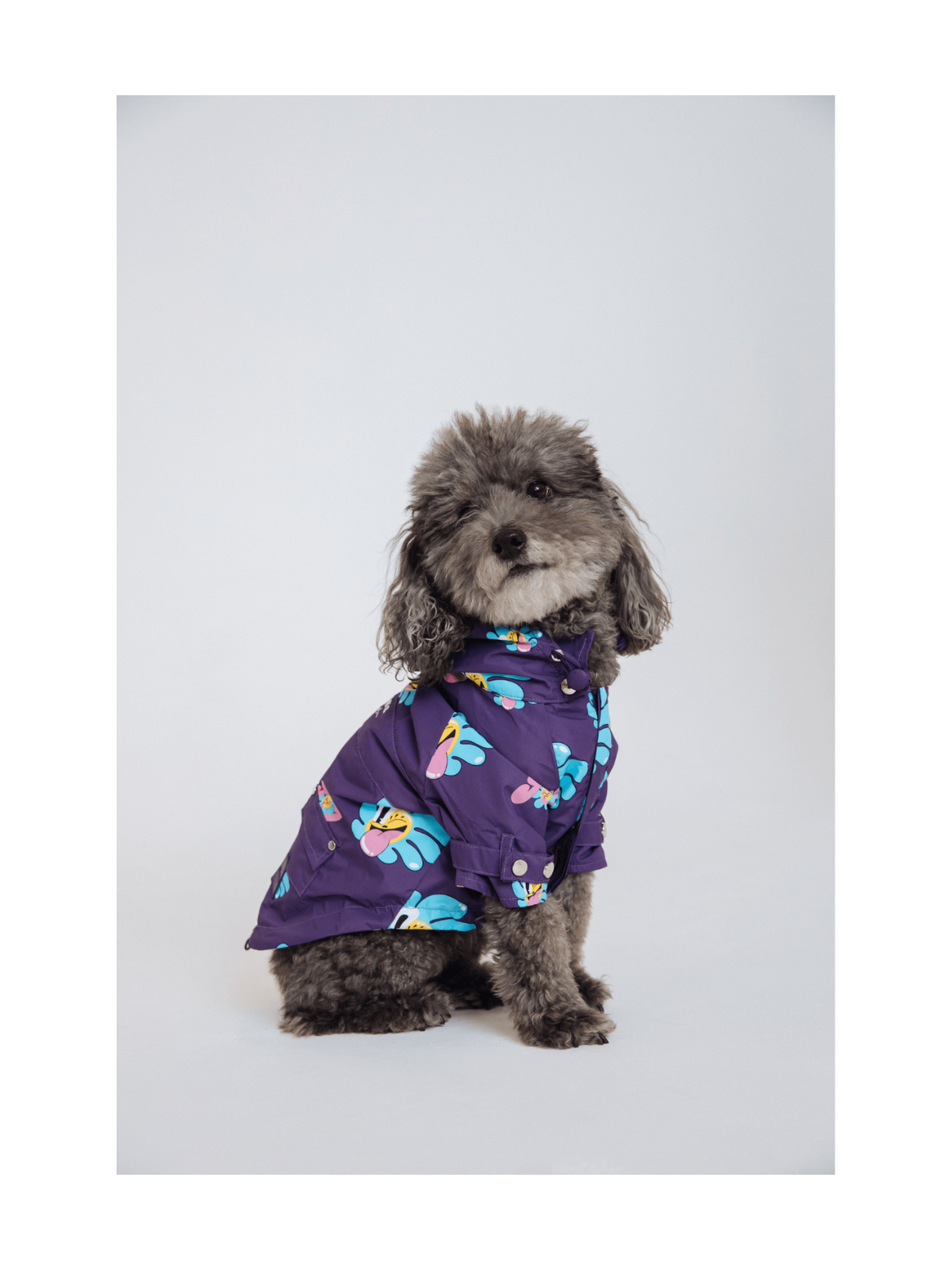 Marc Jacobs x Hattie Stewart Raincoat – Limited Edition Designer Dog Raincoat