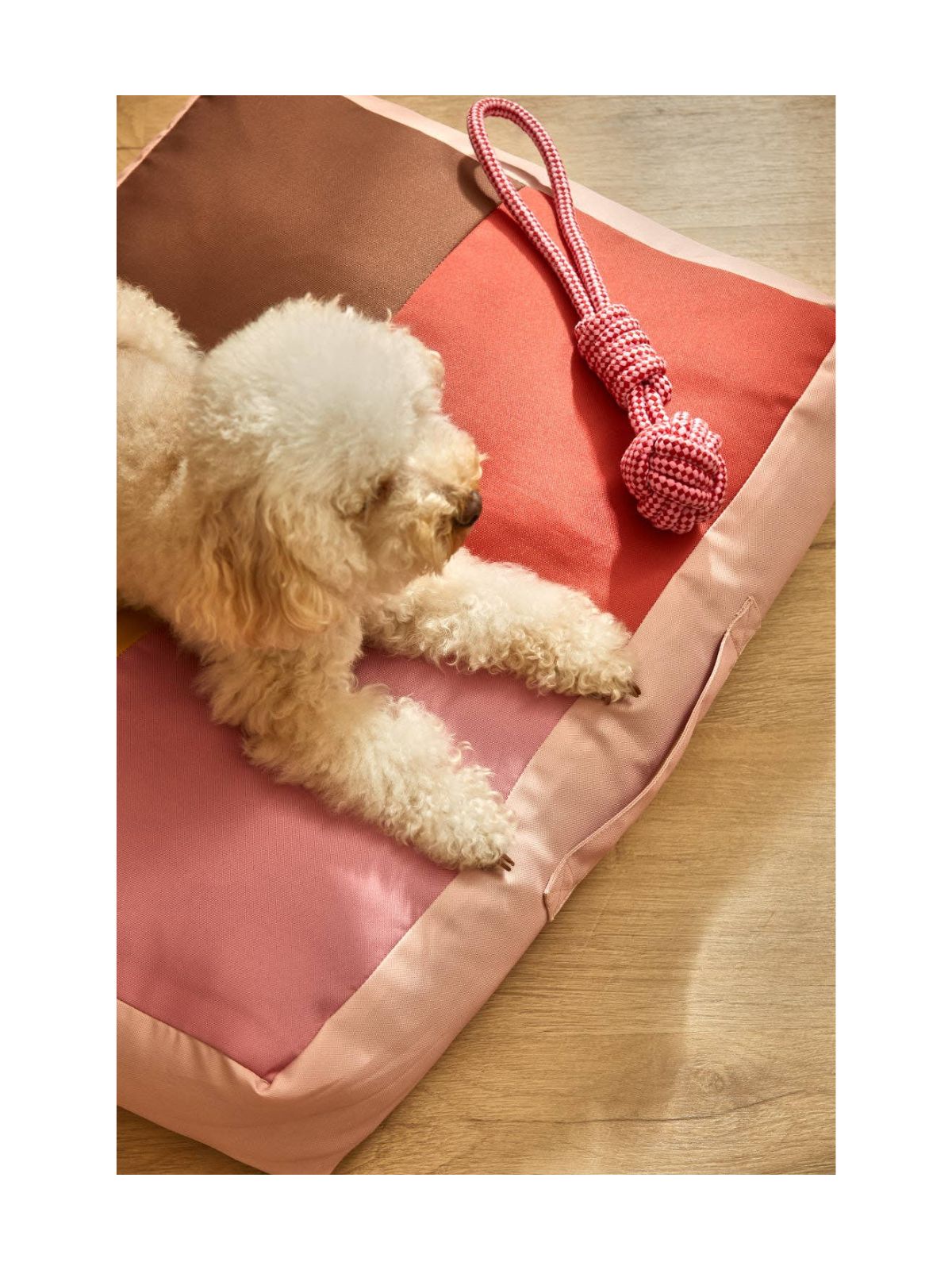 Buby Pet Dog Cushion – Pink
