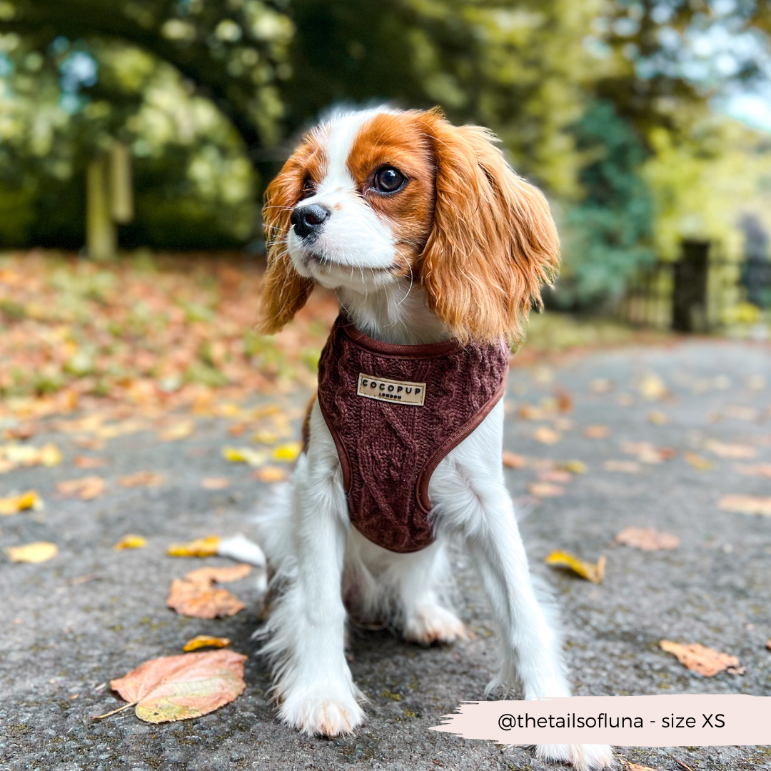 Cable Knit Jumper Adjustable Neck Harness - Hot Coco Brown