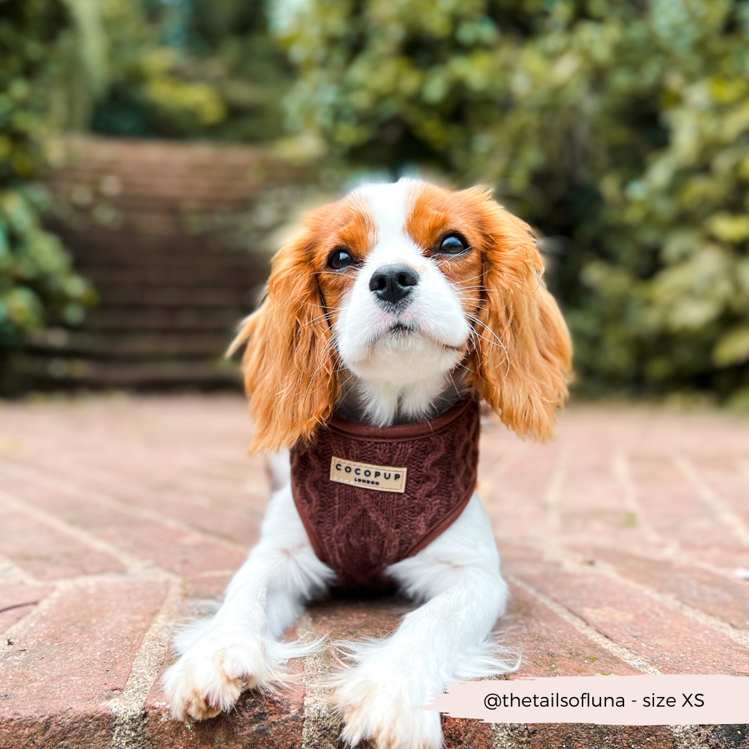 Cable Knit Jumper Adjustable Neck Harness - Hot Coco Brown