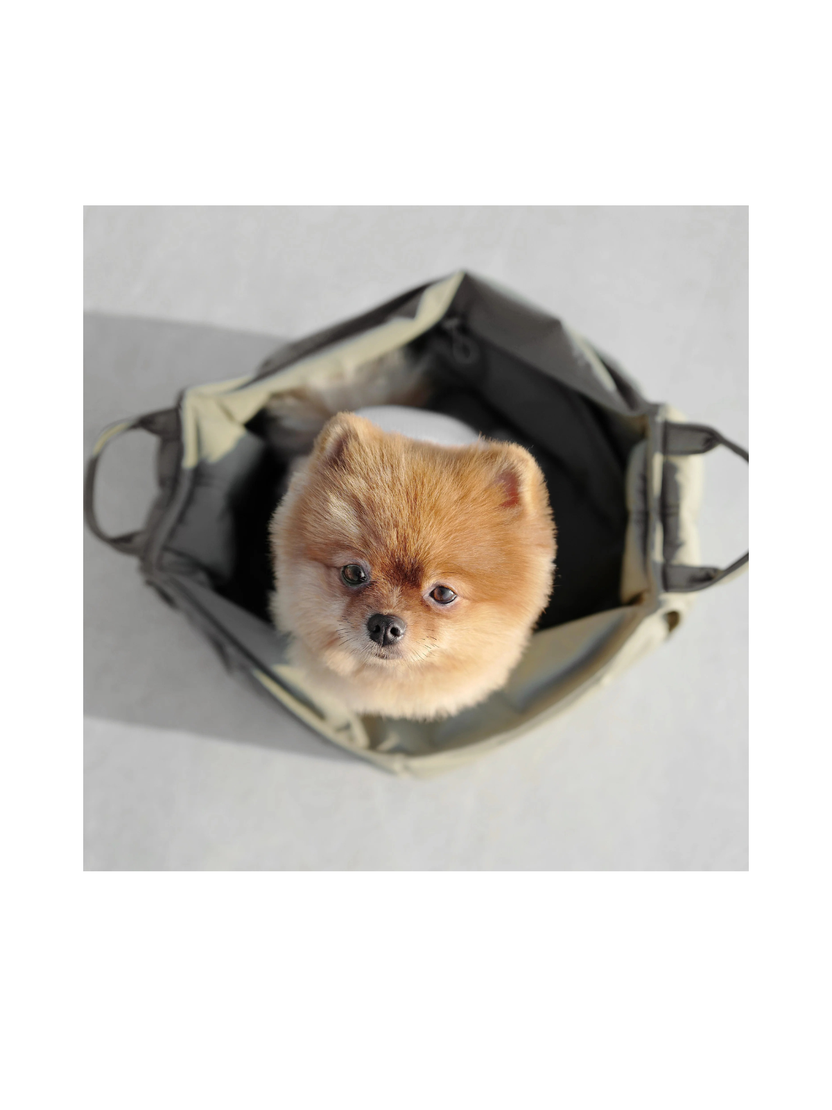 OLLA Petite Pet Carrycot – Fern