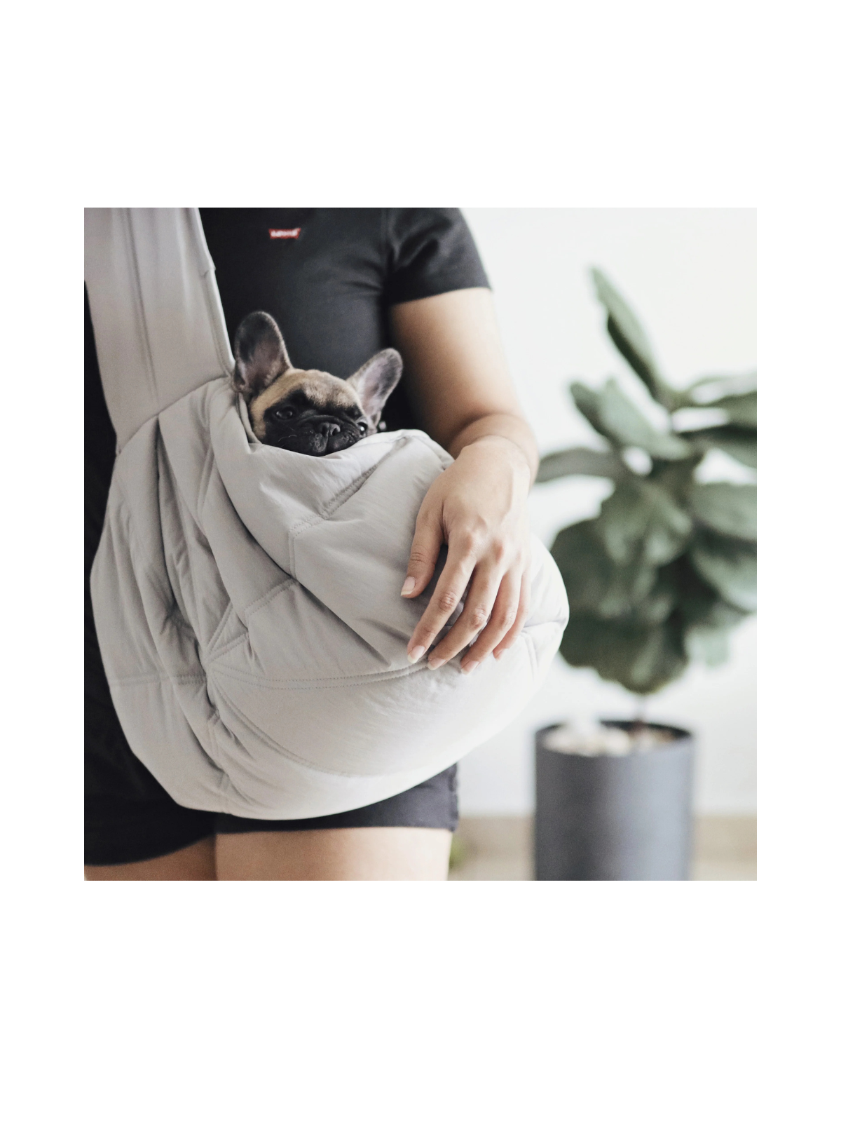 OLLA Petite Pet Carrycot – Koala