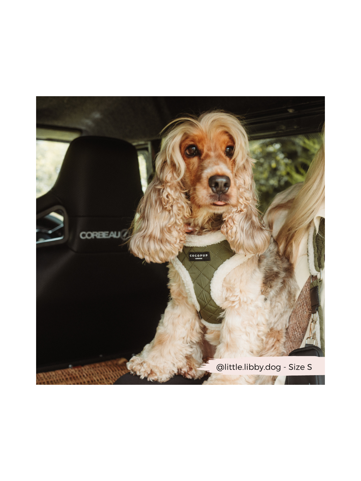 Quilted Adjustable Neck Harness – Khaki