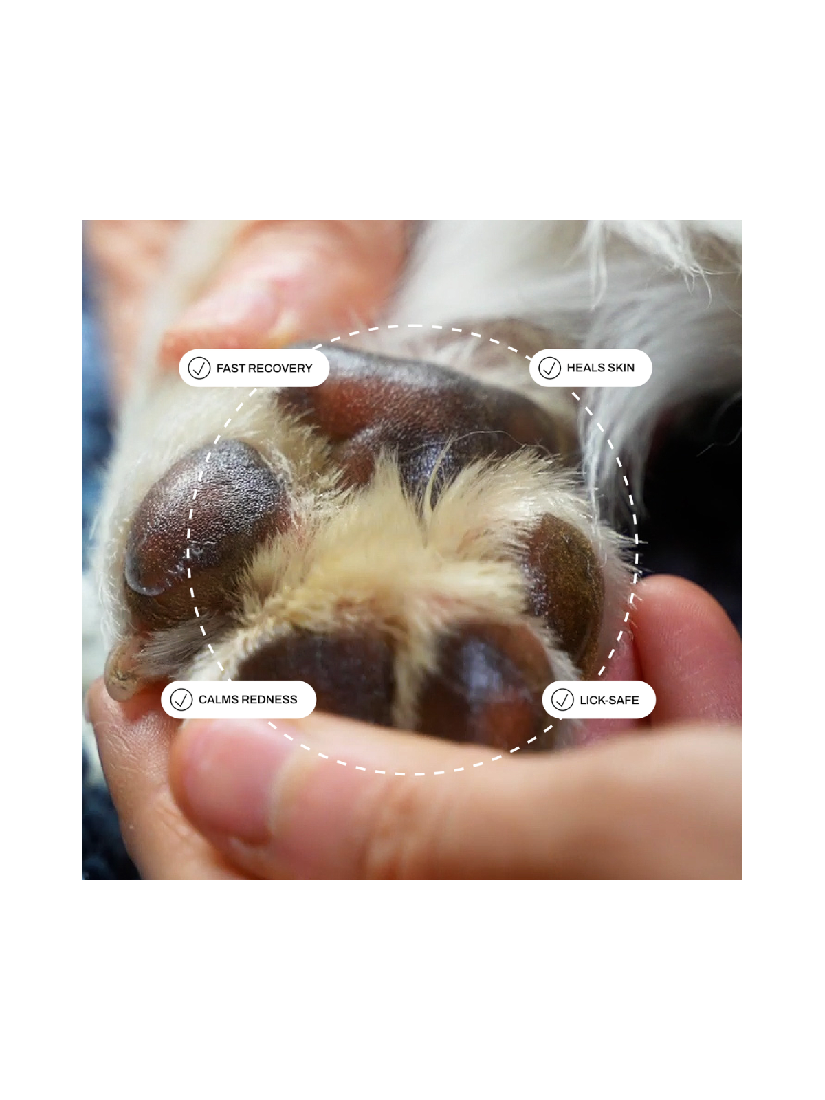 High Nutrition Dog Skin Balm