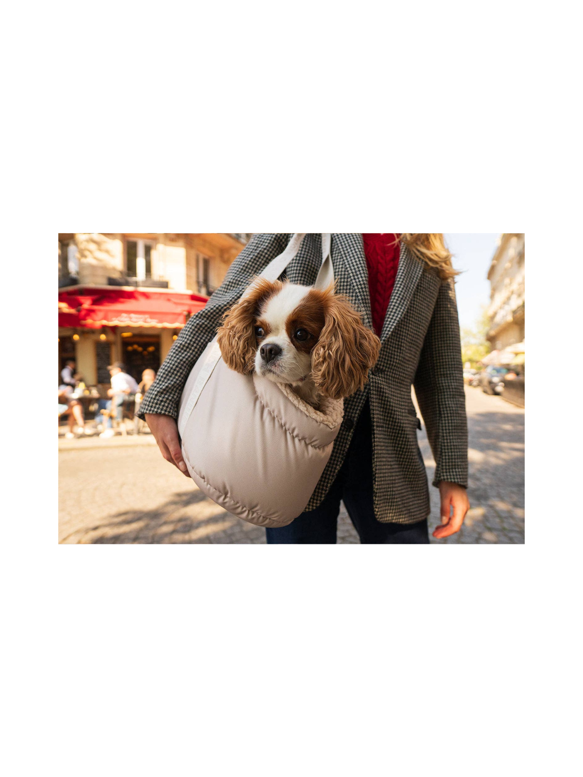 Dog Carrier Bag – Cream