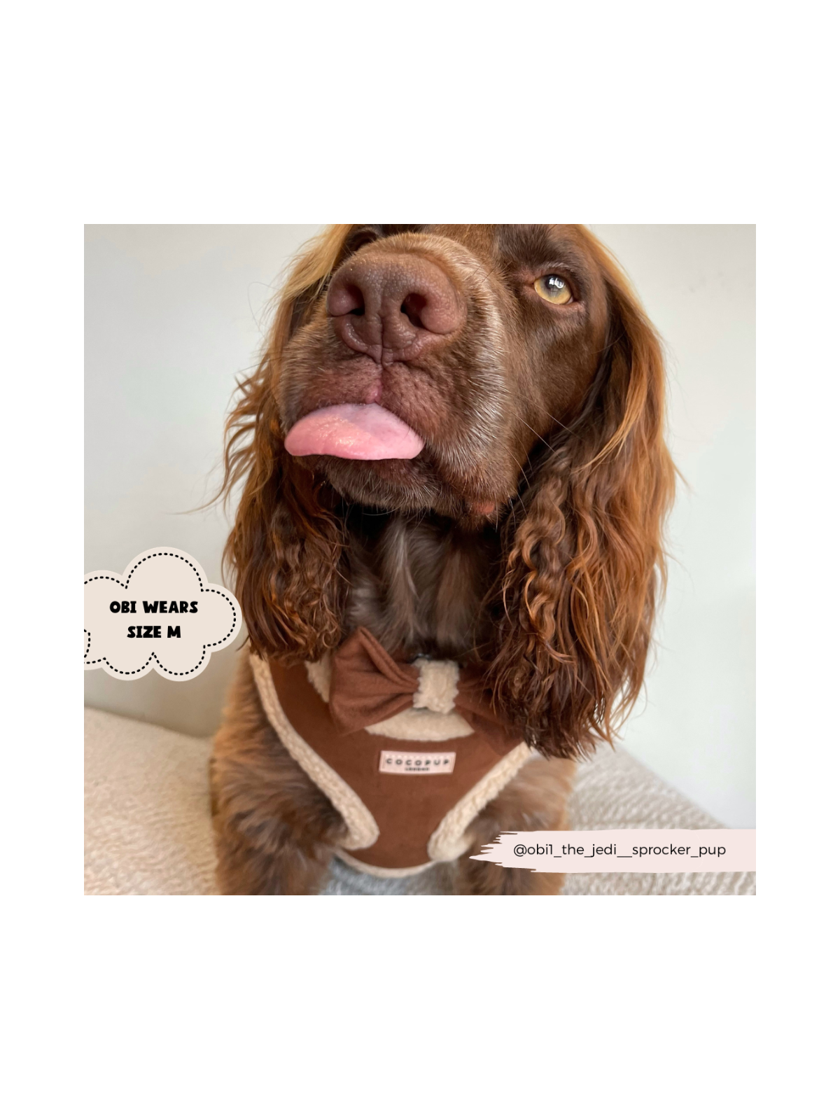 Brown Aviator Adjustable Neck Harness – Faux Suede with Fluffy Trim