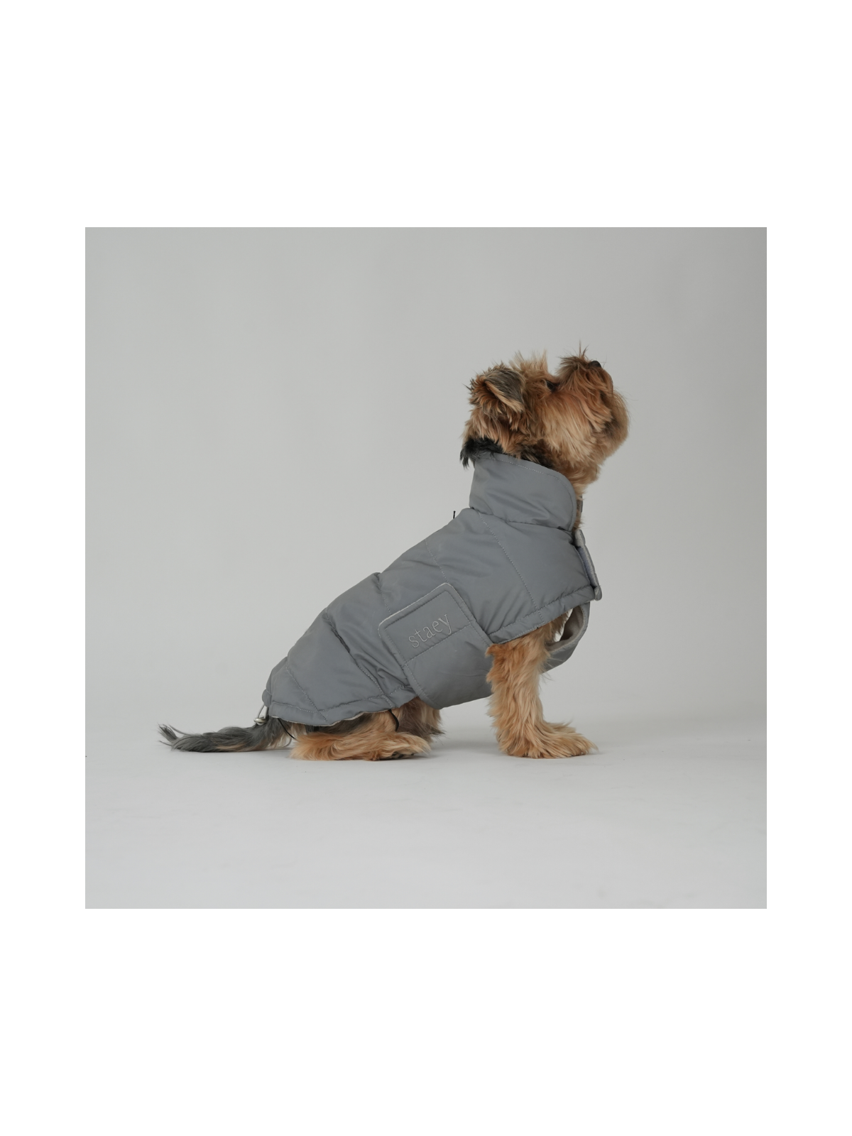 Nora Dog Coat – Reflective