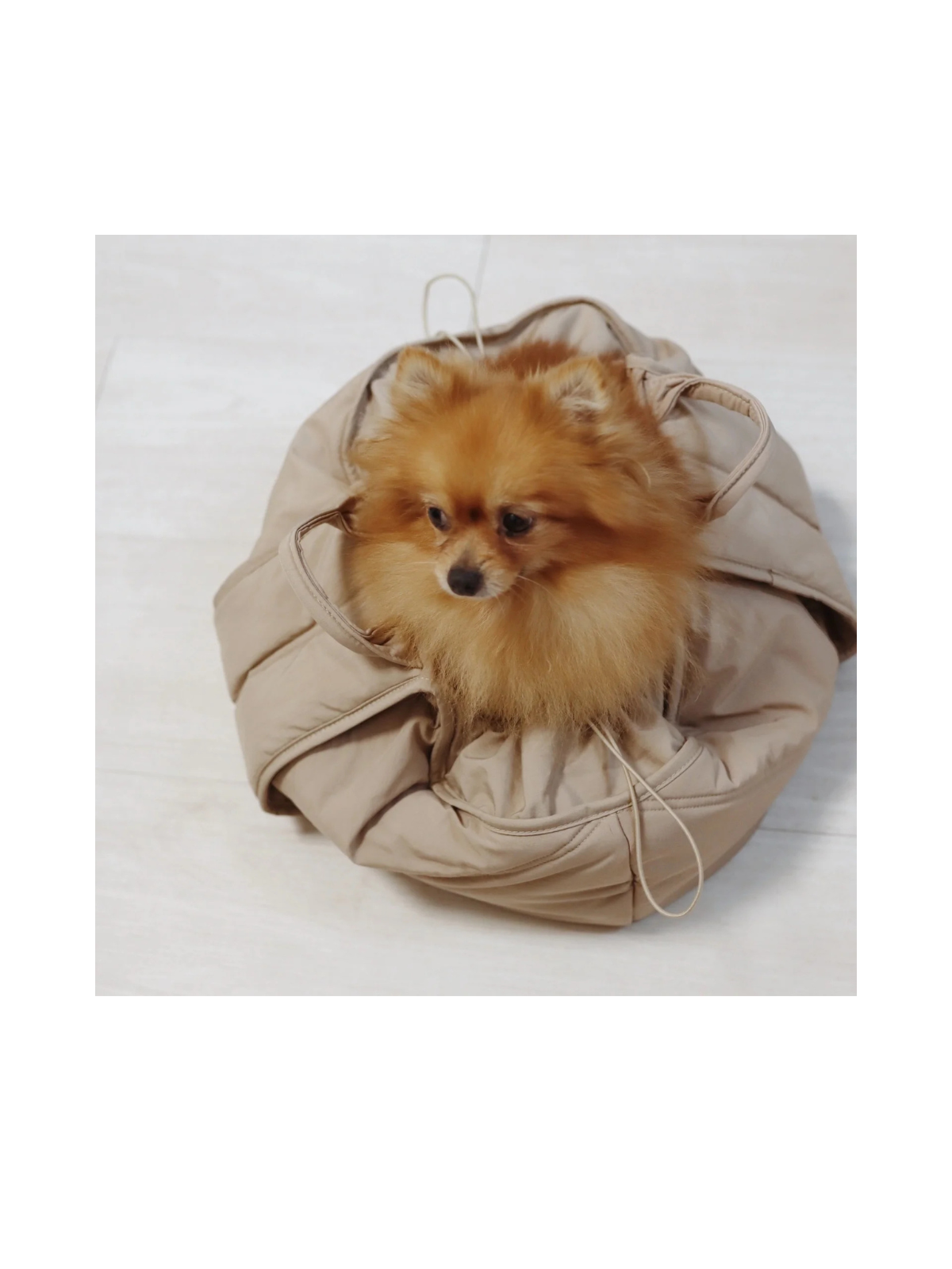 OLLA Petite Pet Carrycot – Camel