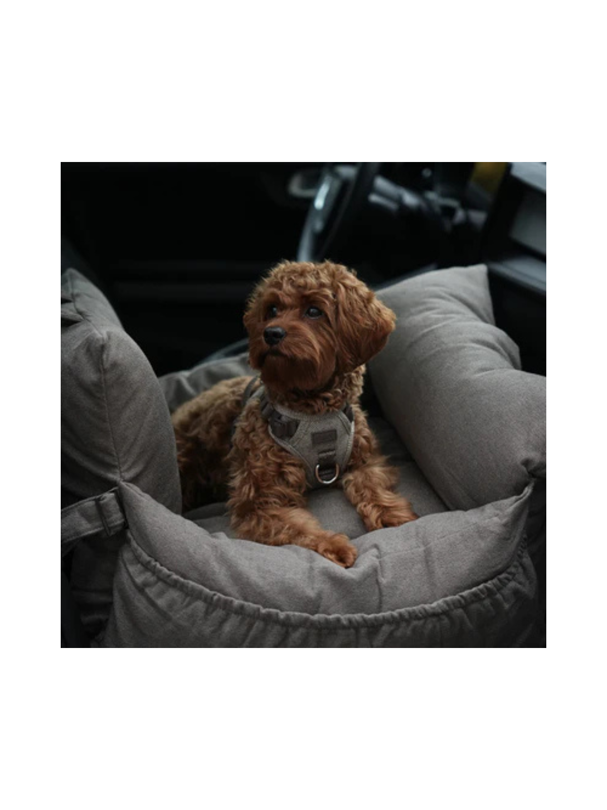 3-in-1 Dog Car Seat & Carrier – Taupe